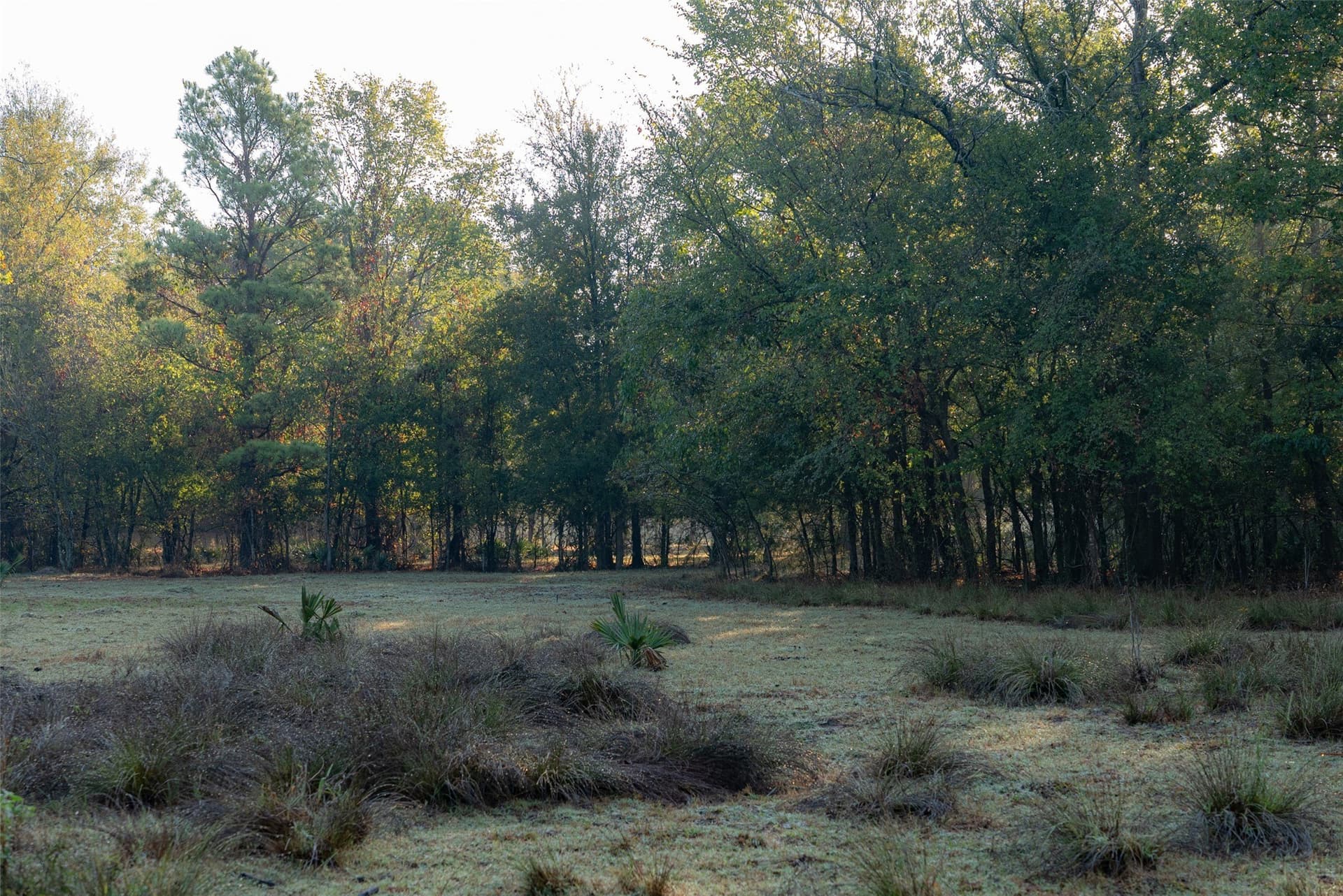 50 acres in Upshur County - photo 40