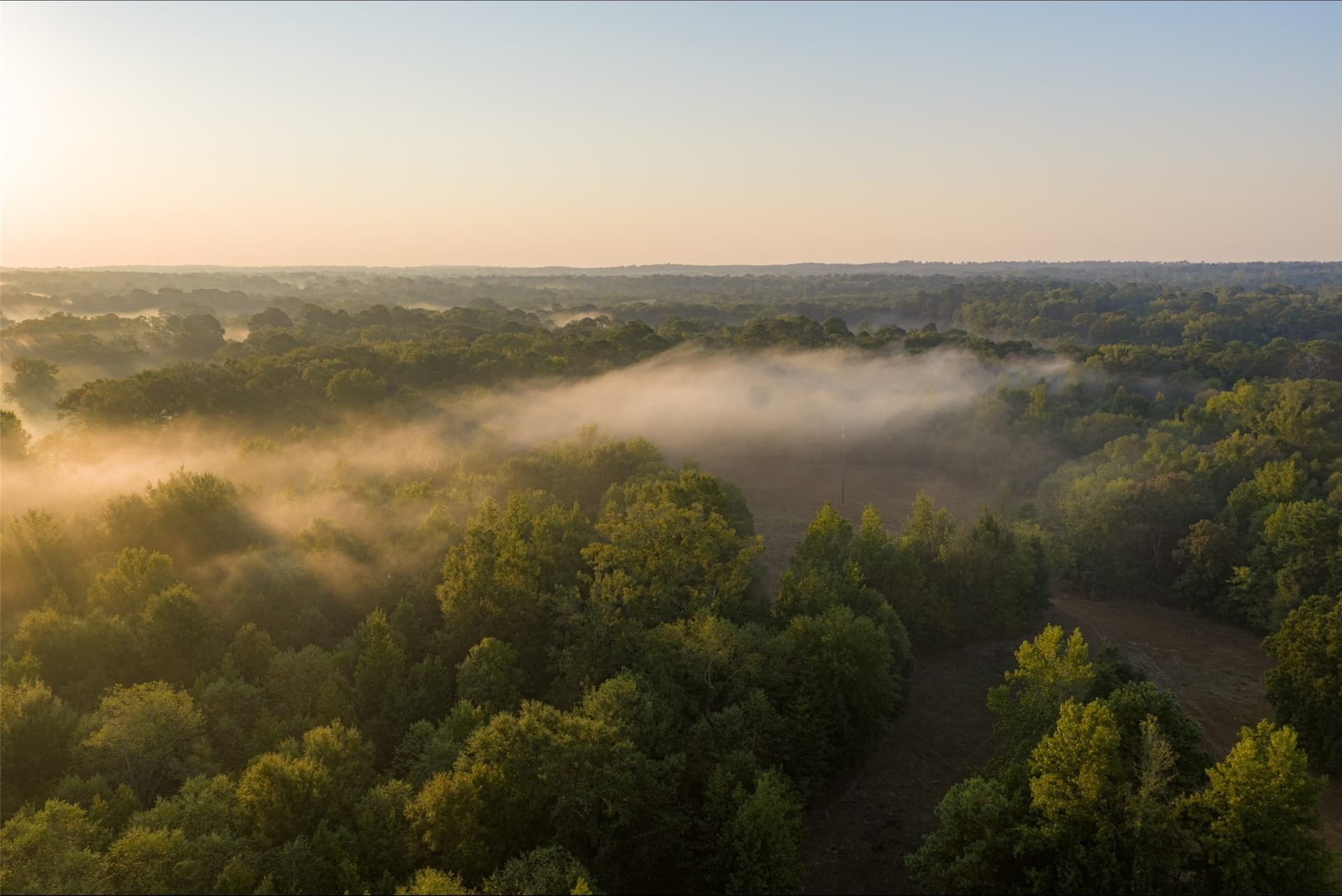 50 acres in Upshur County - photo 30