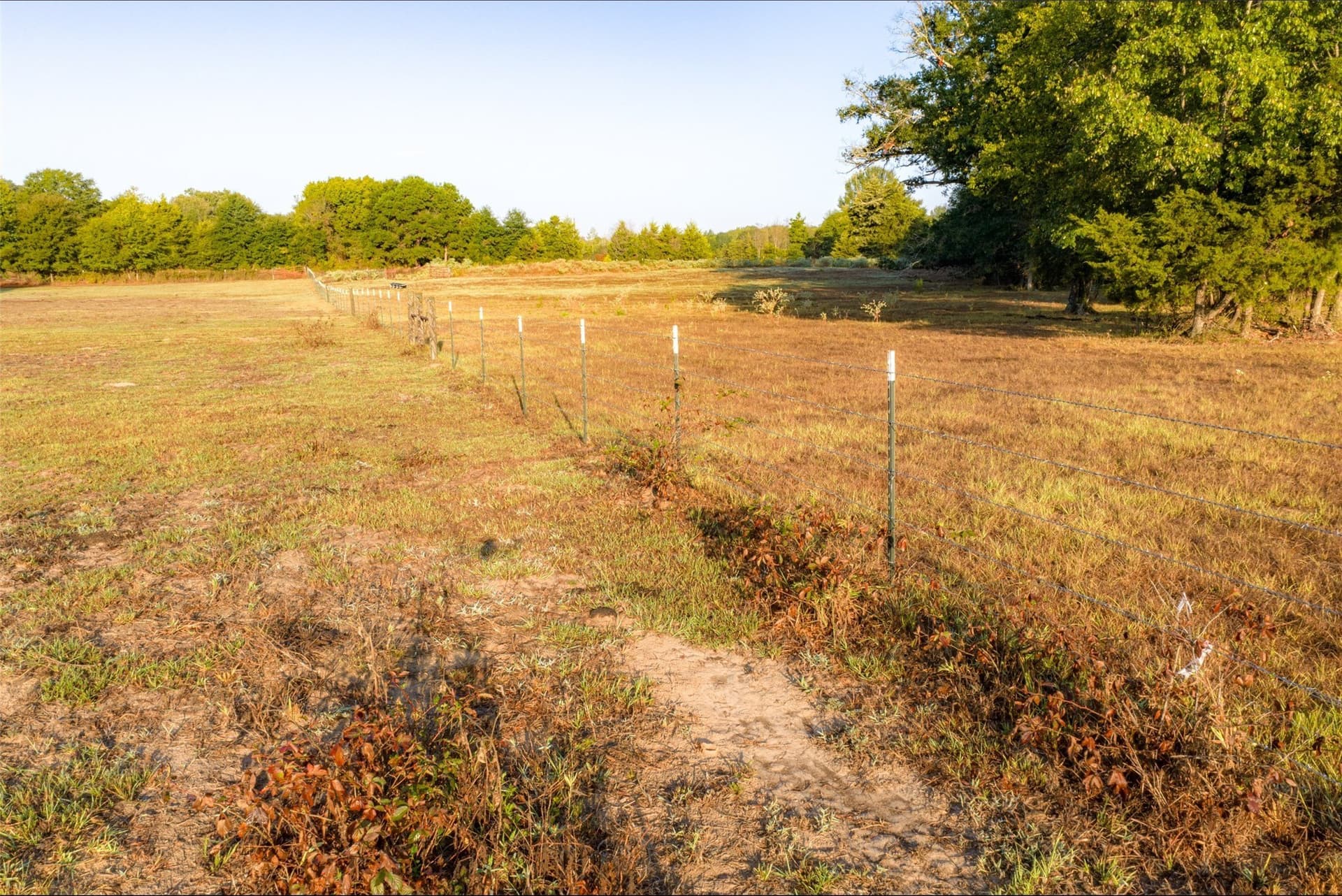50 acres in Upshur County - photo 11