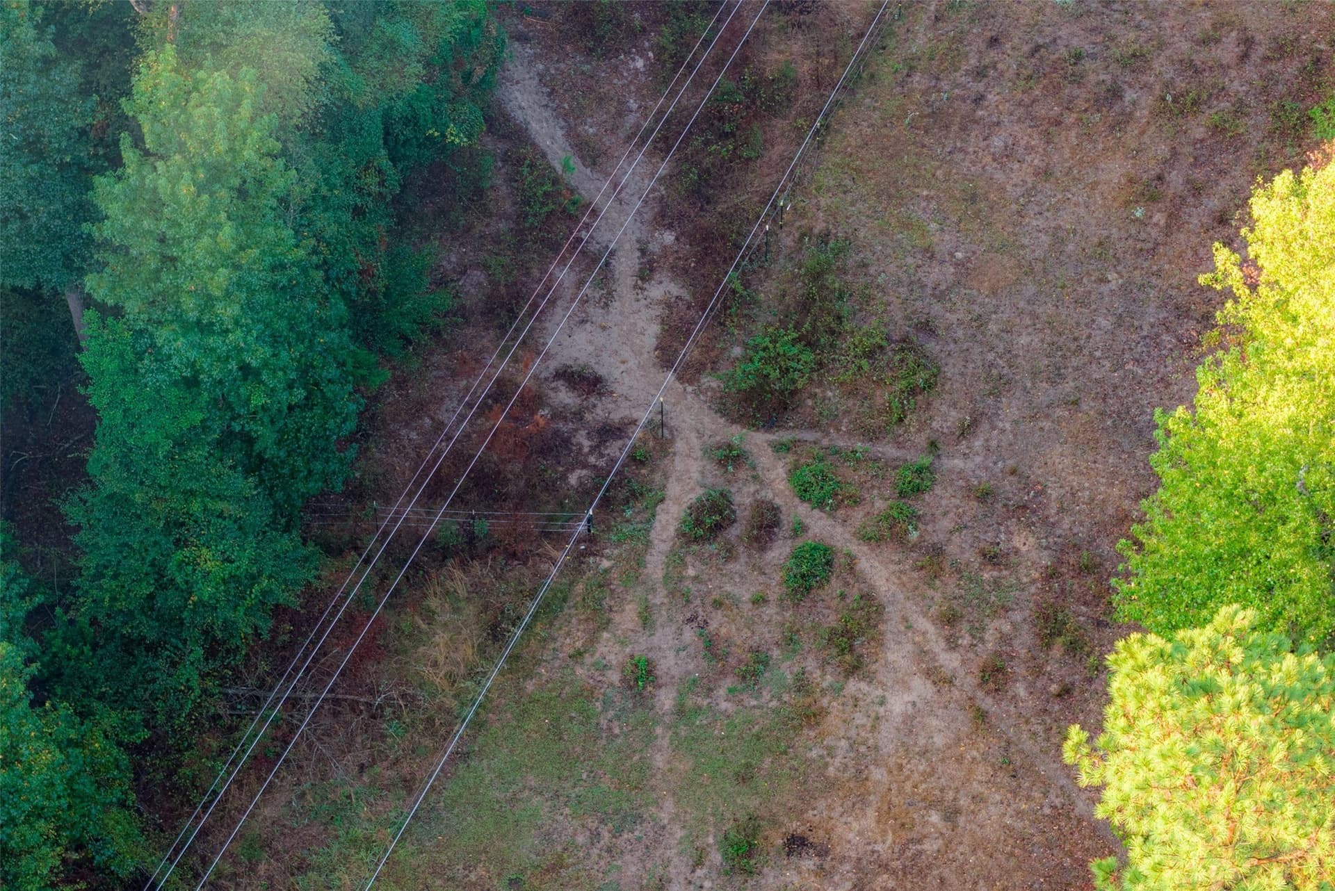 50 acres in Upshur County - photo 35