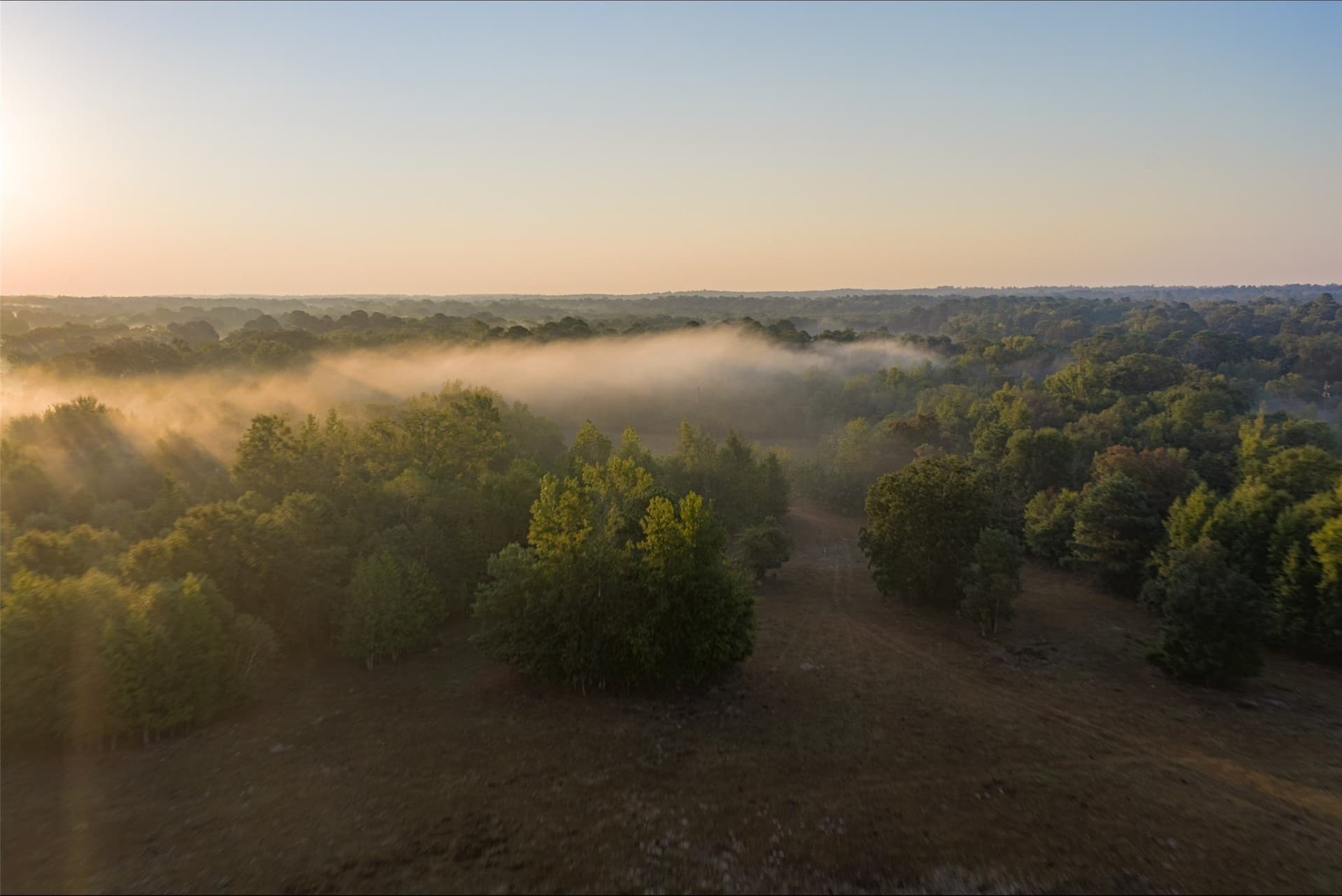50 acres in Upshur County - photo 37