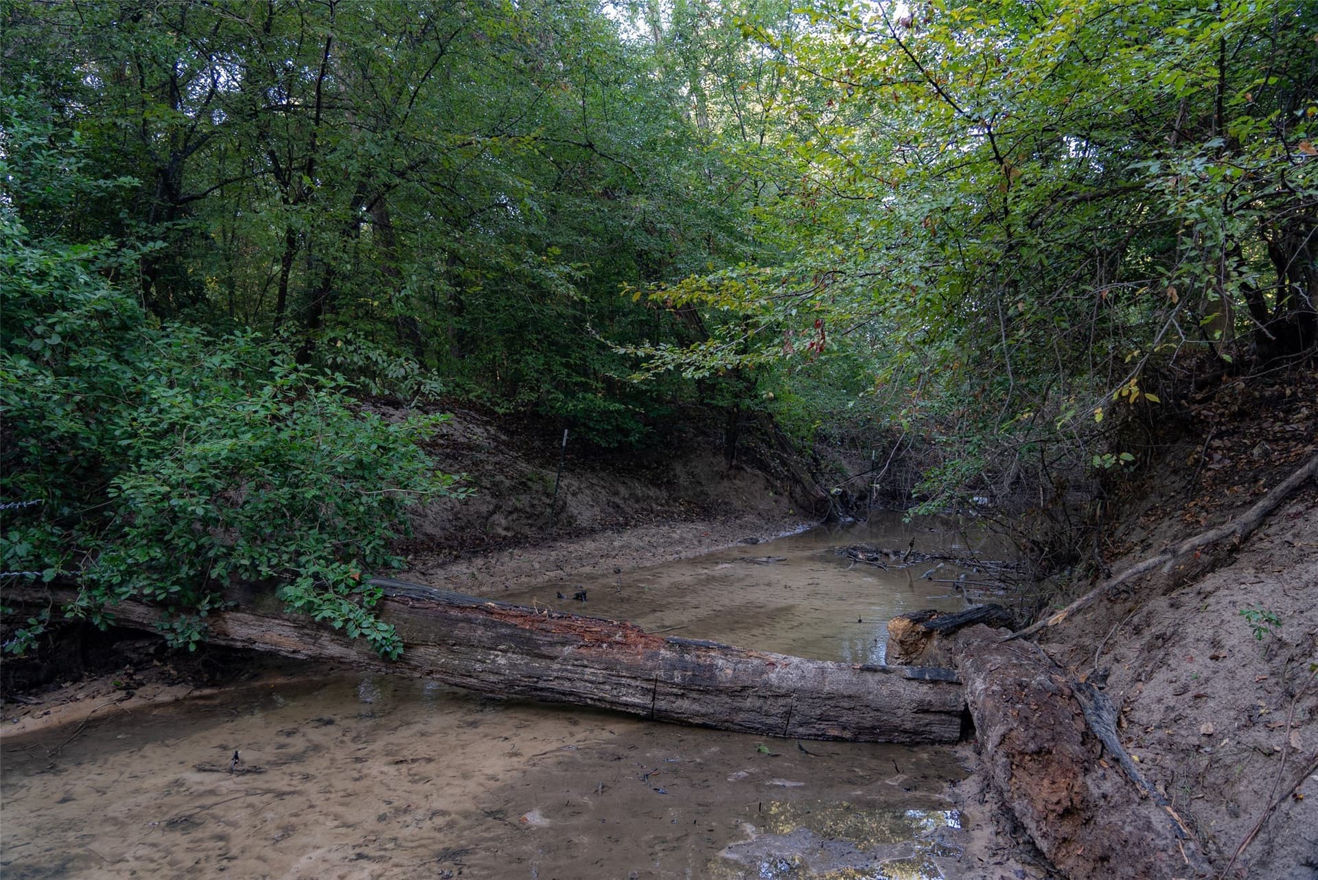 50 acres in Upshur County - photo 12