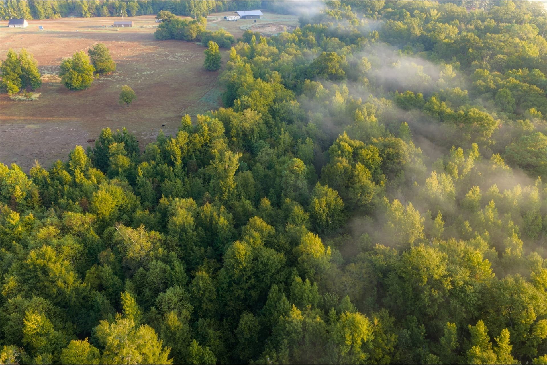 50 acres in Upshur County - photo 31