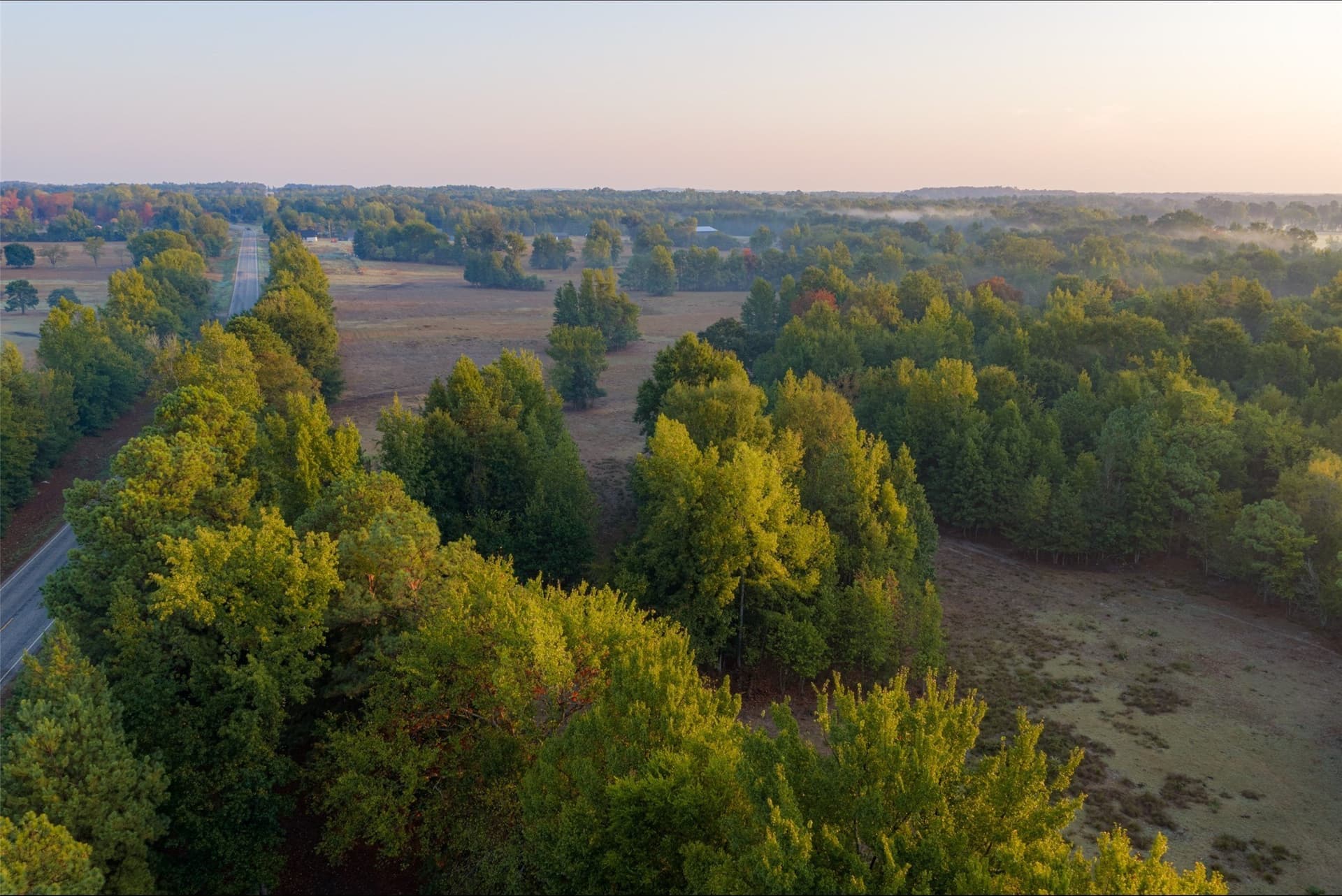 50 acres in Upshur County - photo 28