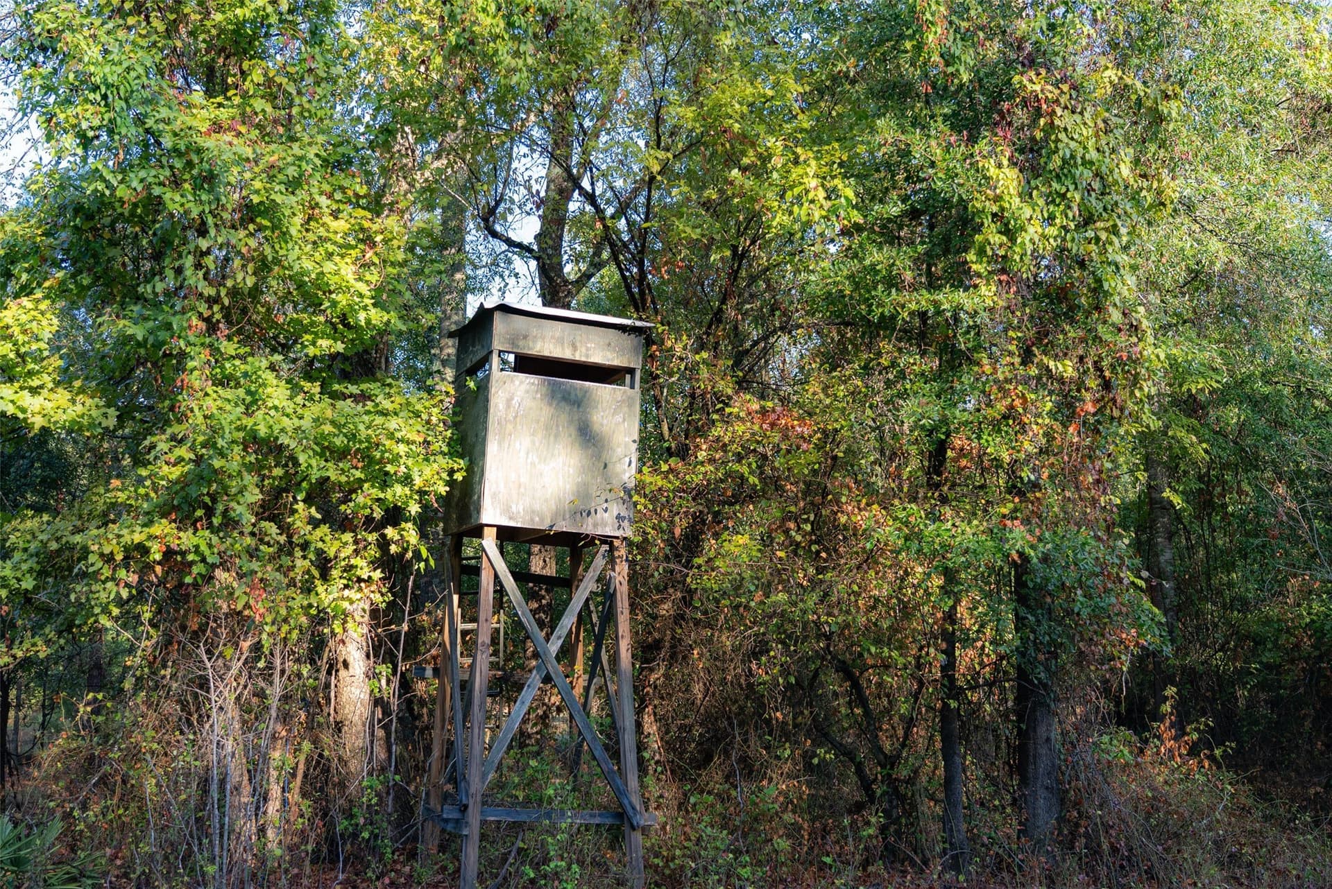 50 acres in Upshur County - photo 18