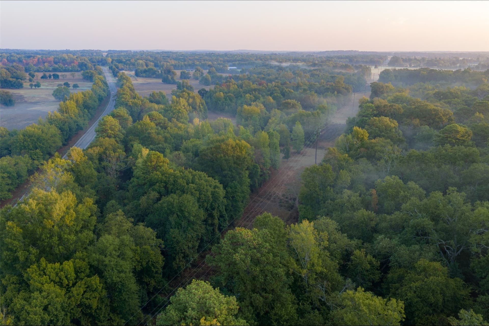 50 acres in Upshur County - photo 33