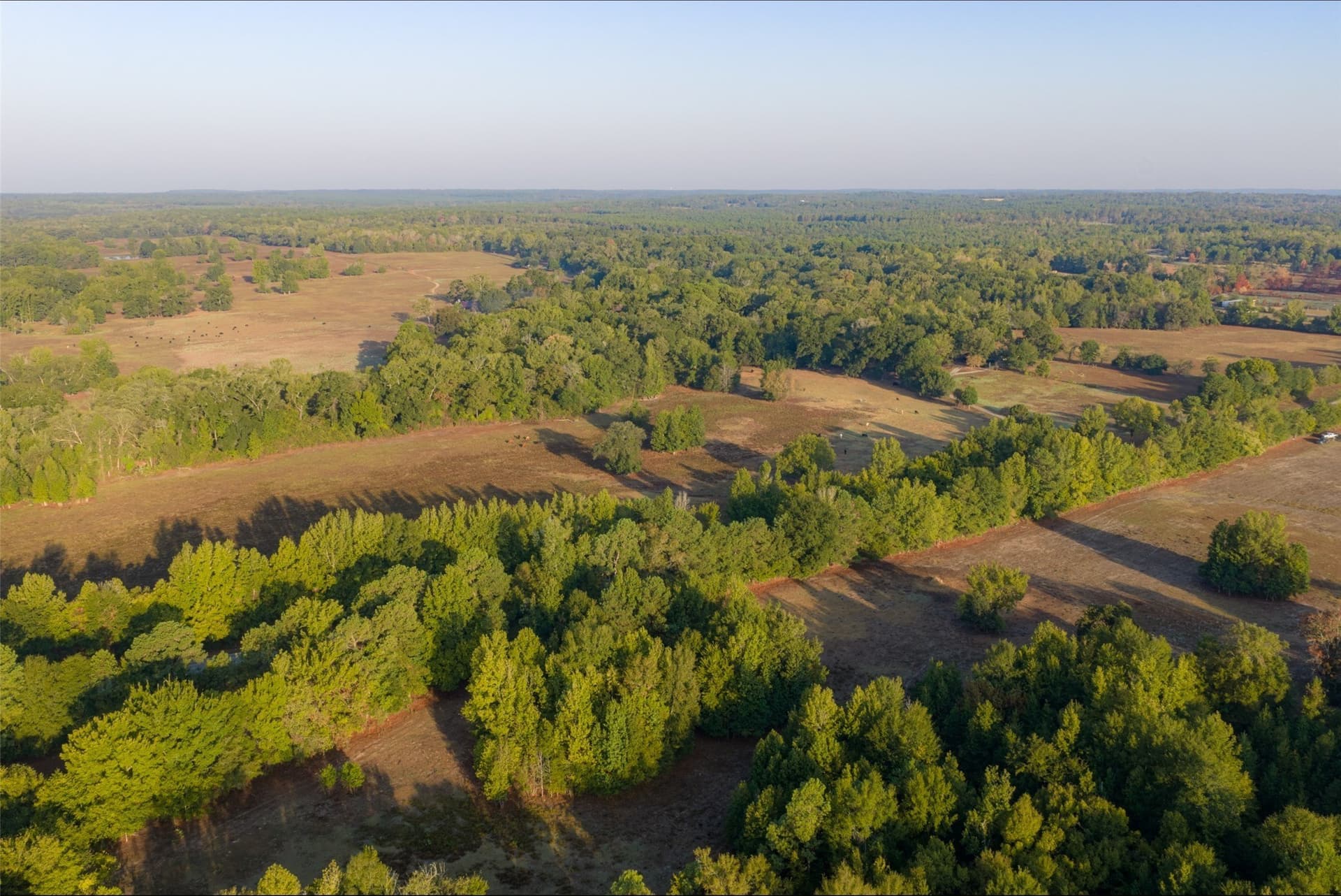 50 acres in Upshur County - photo 2
