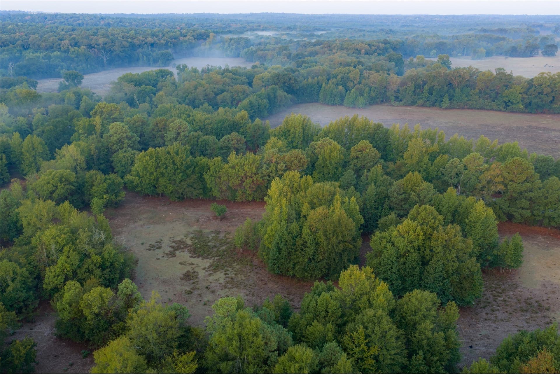 50 acres in Upshur County - photo 26