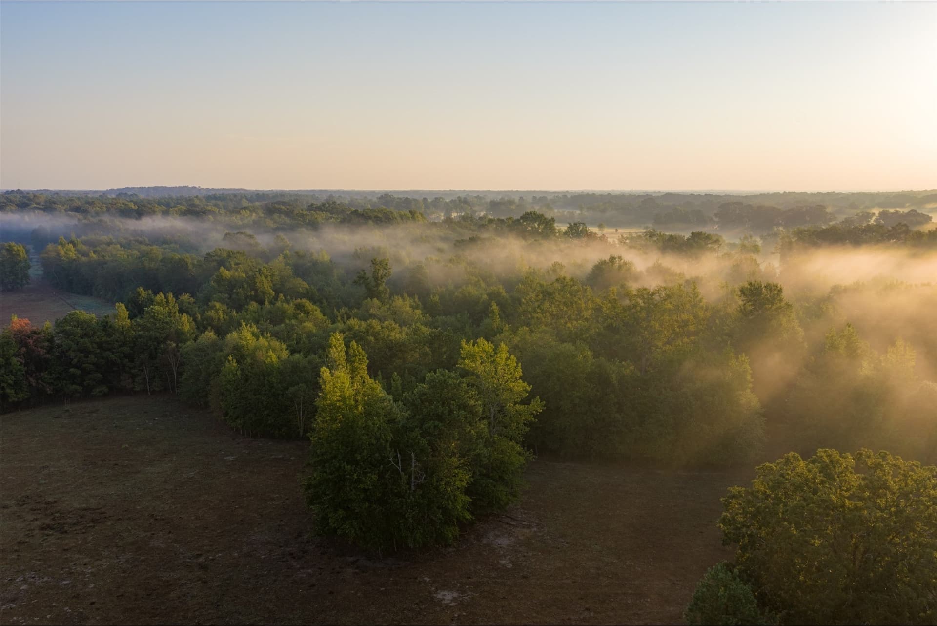 50 acres in Upshur County - photo 36