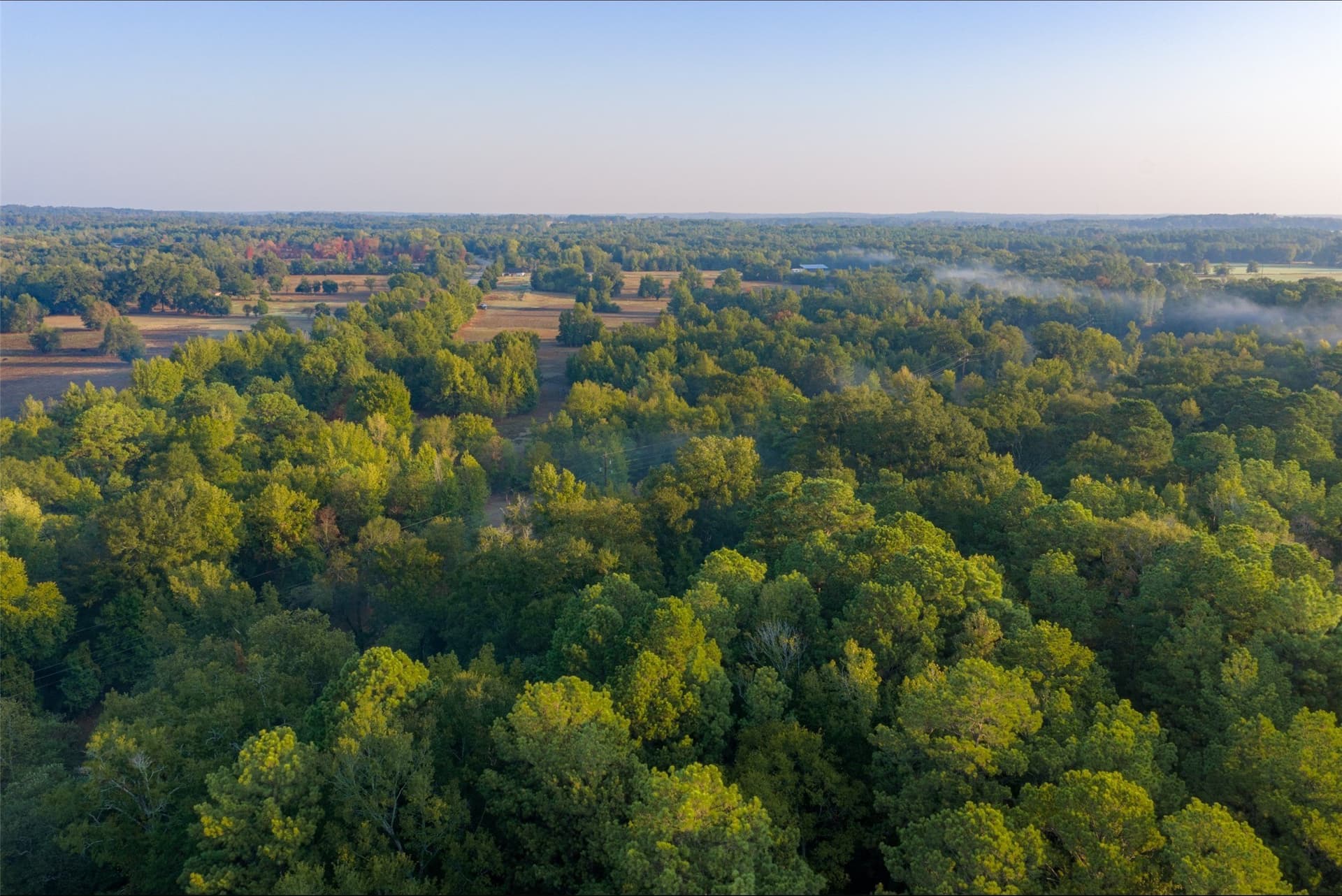 50 acres in Upshur County - photo 19