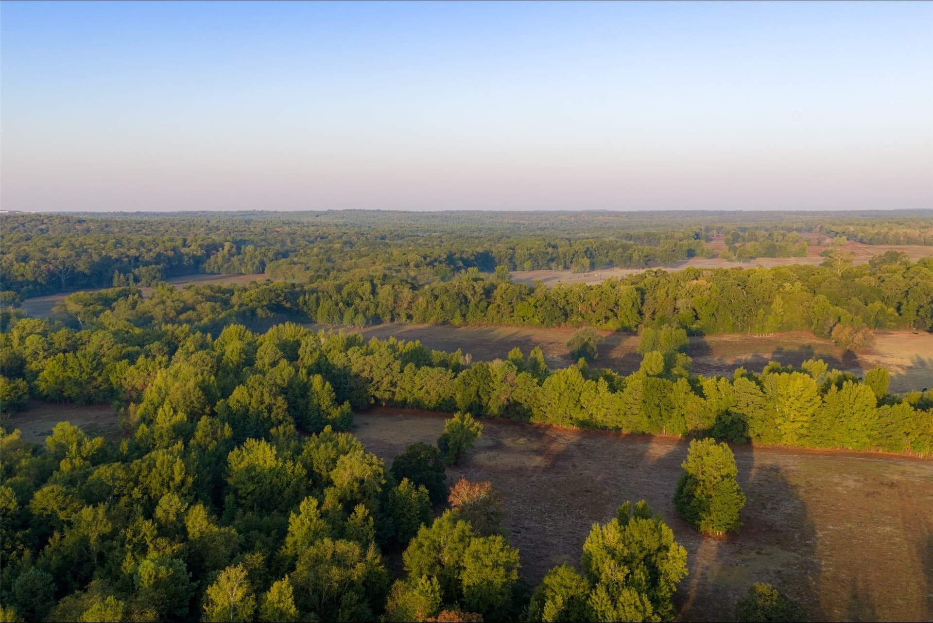 50 acres in Upshur County - photo 14