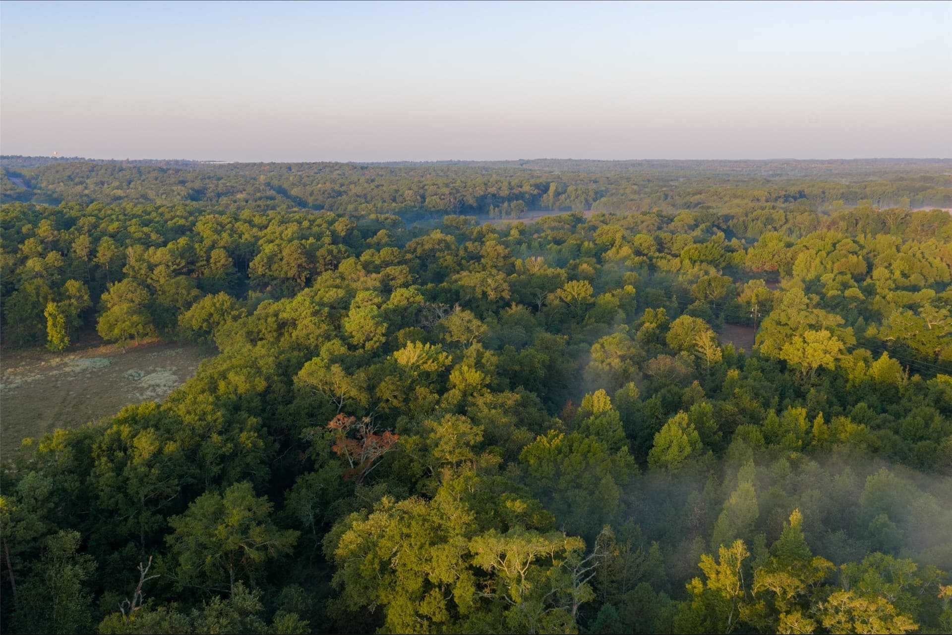 50 acres in Upshur County - photo 34