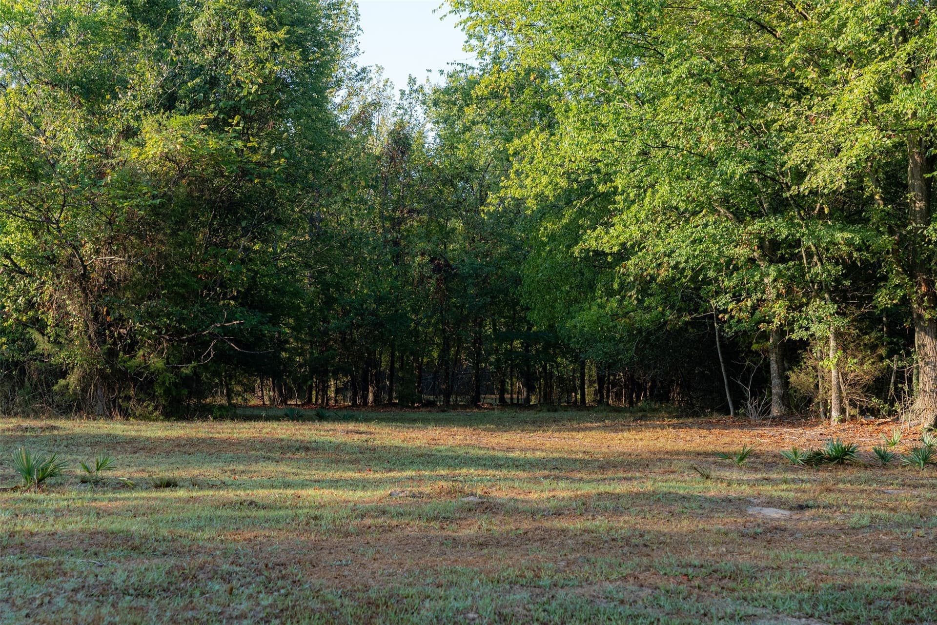 50 acres in Upshur County - photo 29