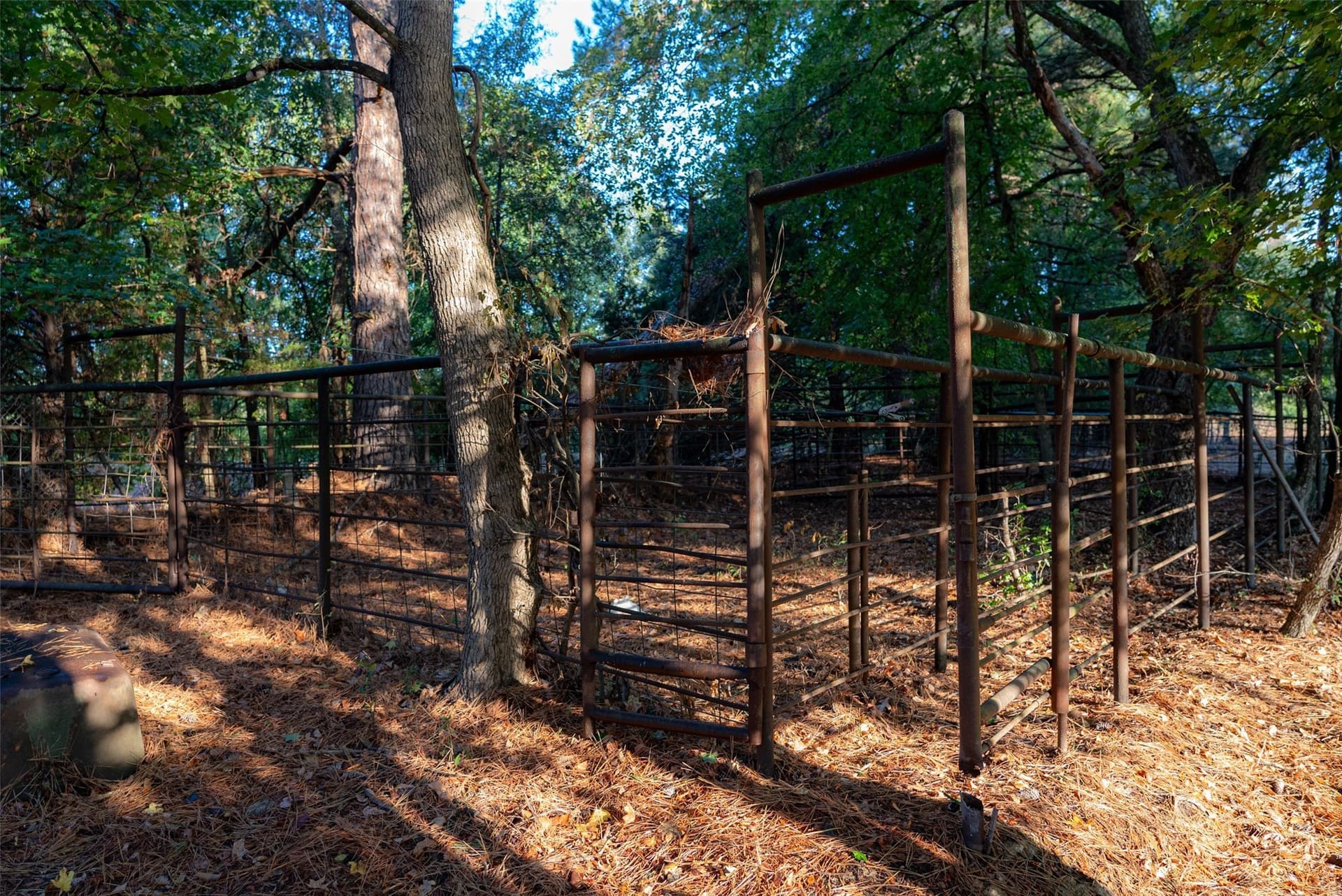 50 acres in Upshur County - photo 23