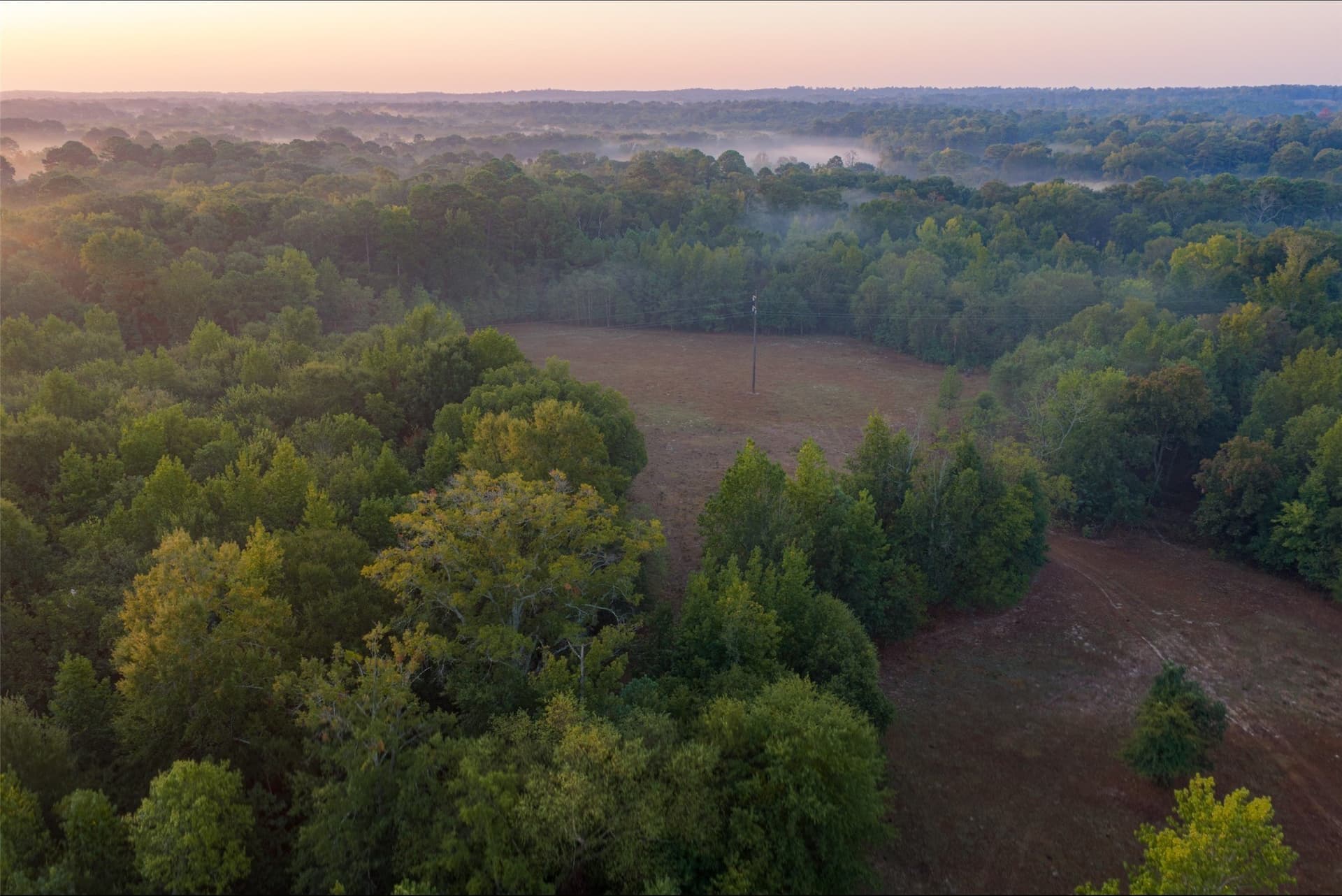 50 acres in Upshur County - photo 16