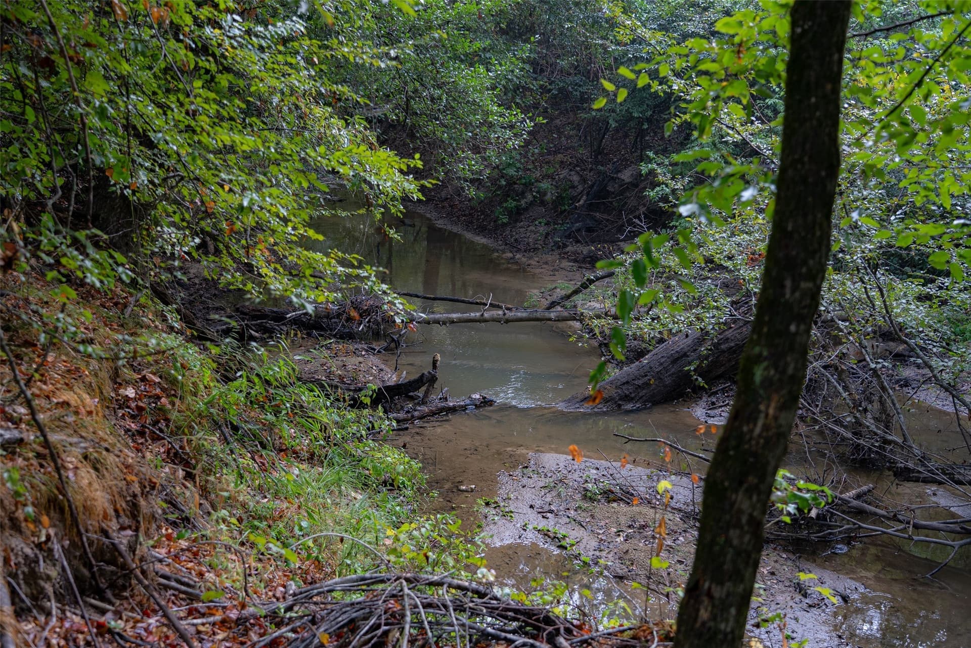 50 acres in Upshur County - photo 6