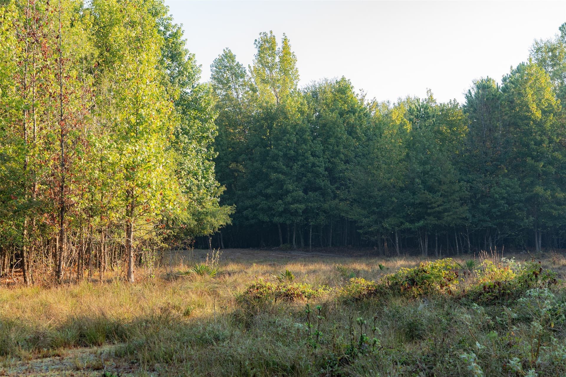 50 acres in Upshur County - photo 25
