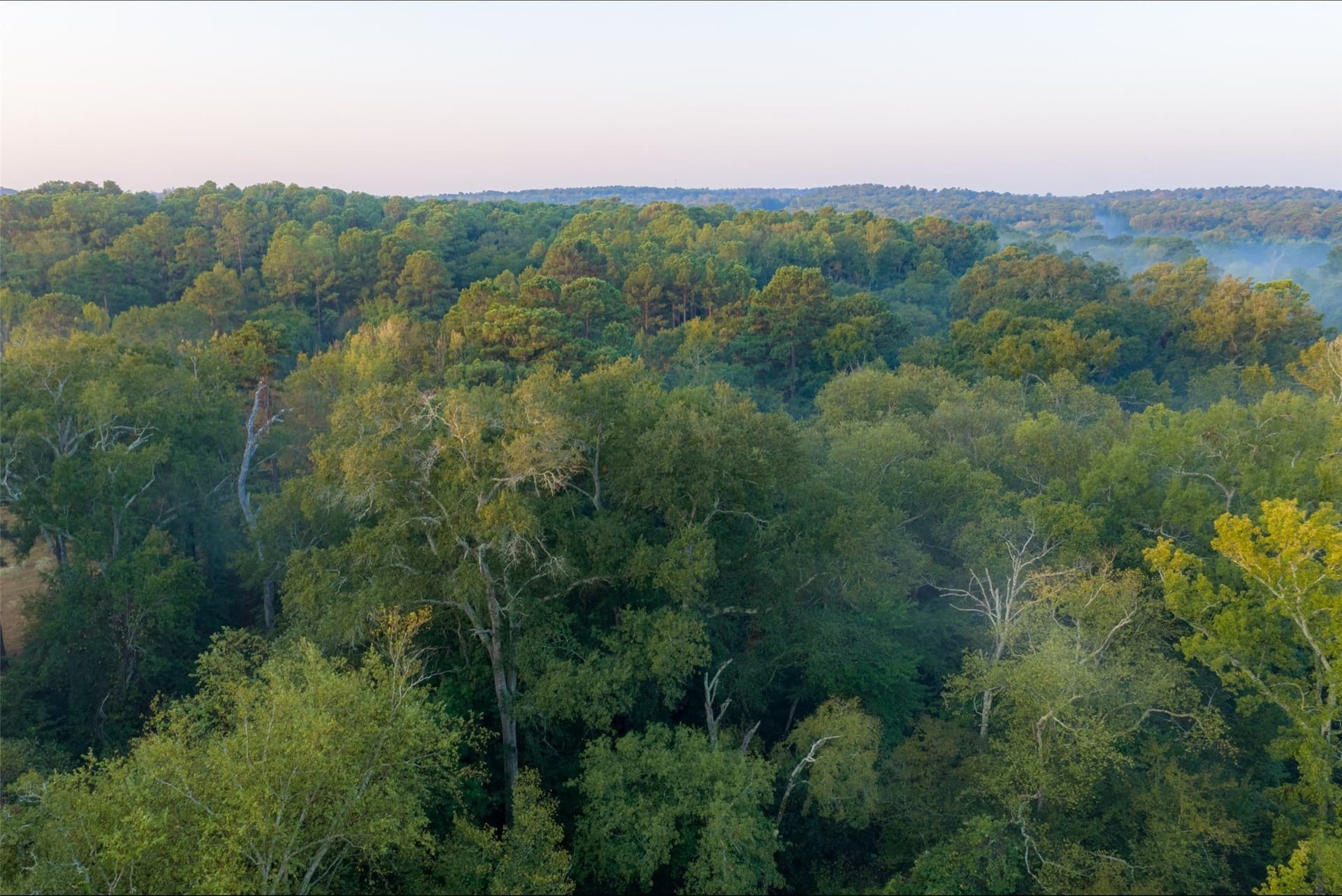 50 acres in Upshur County - photo 32