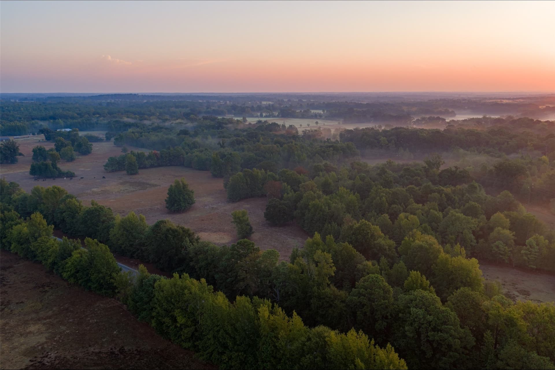 50 acres in Upshur County - photo 17