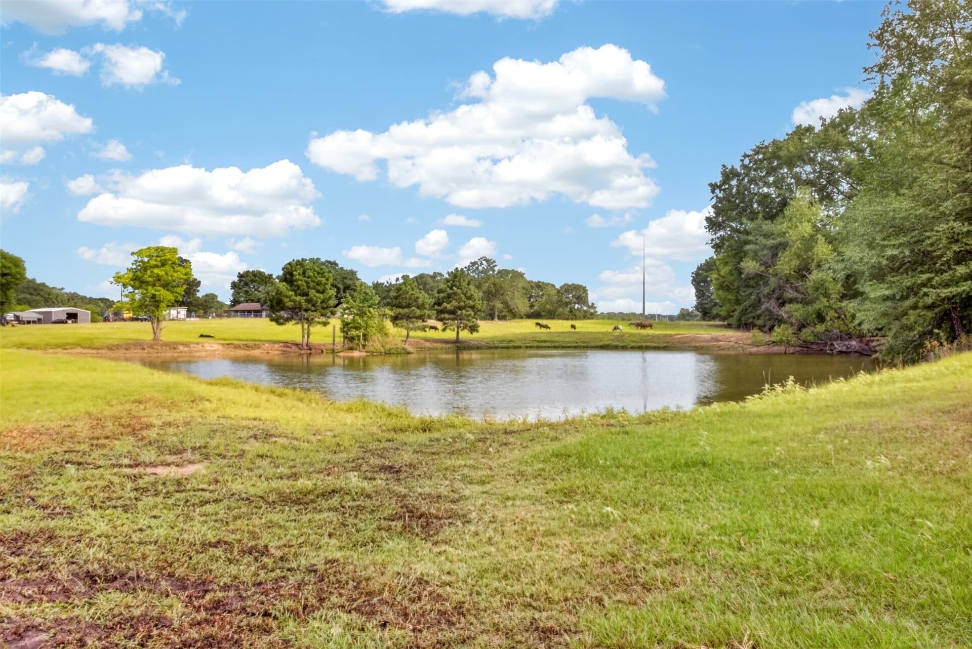 26.7 acres in Upshur County - photo 40