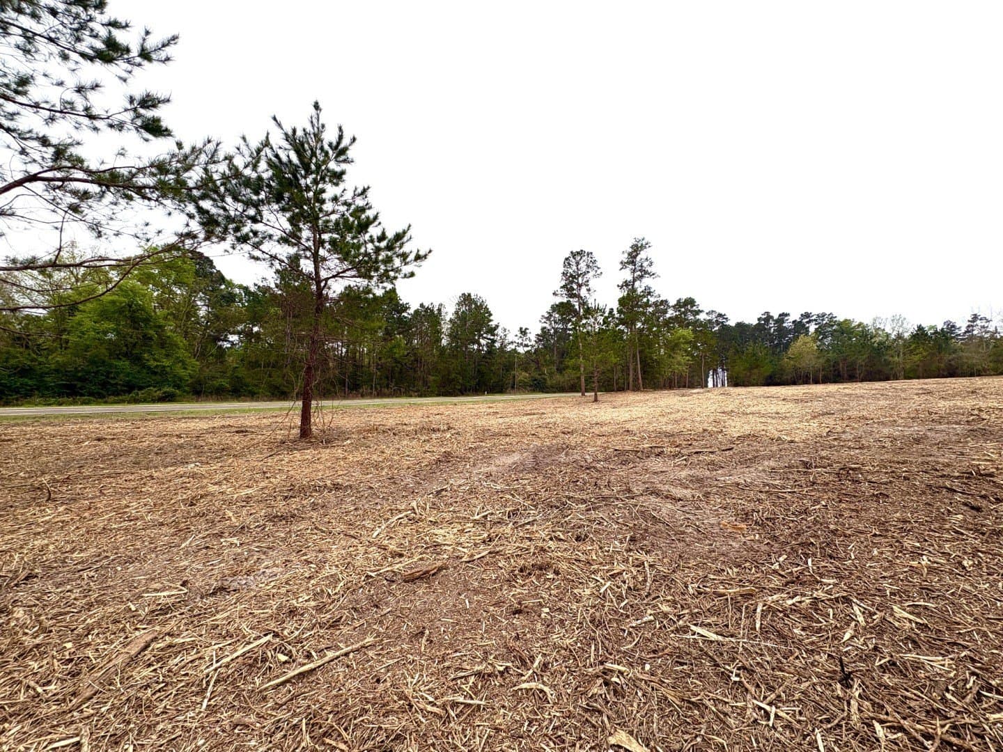 42 acres in Shelby County