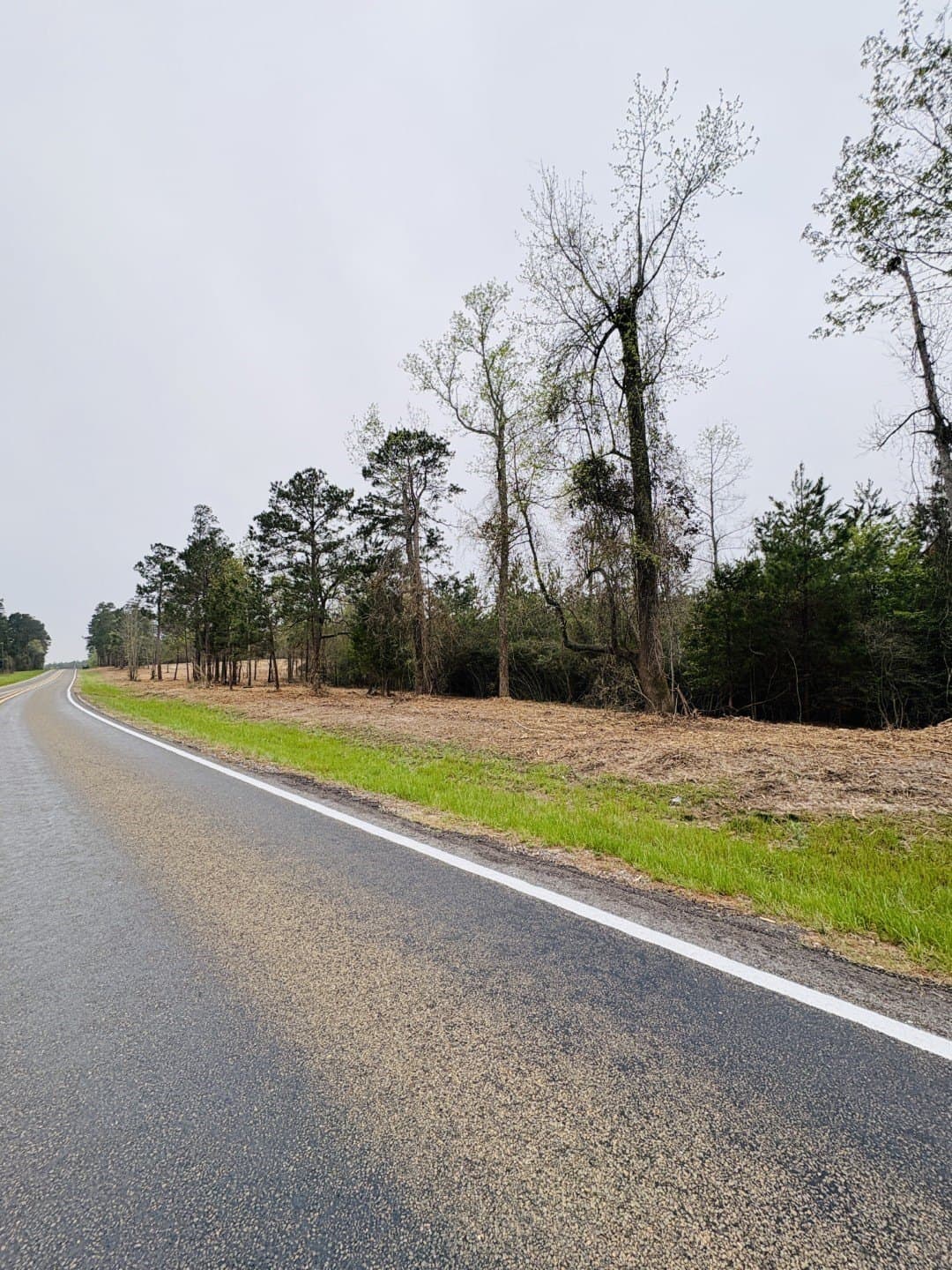 42 acres in Shelby County featured view