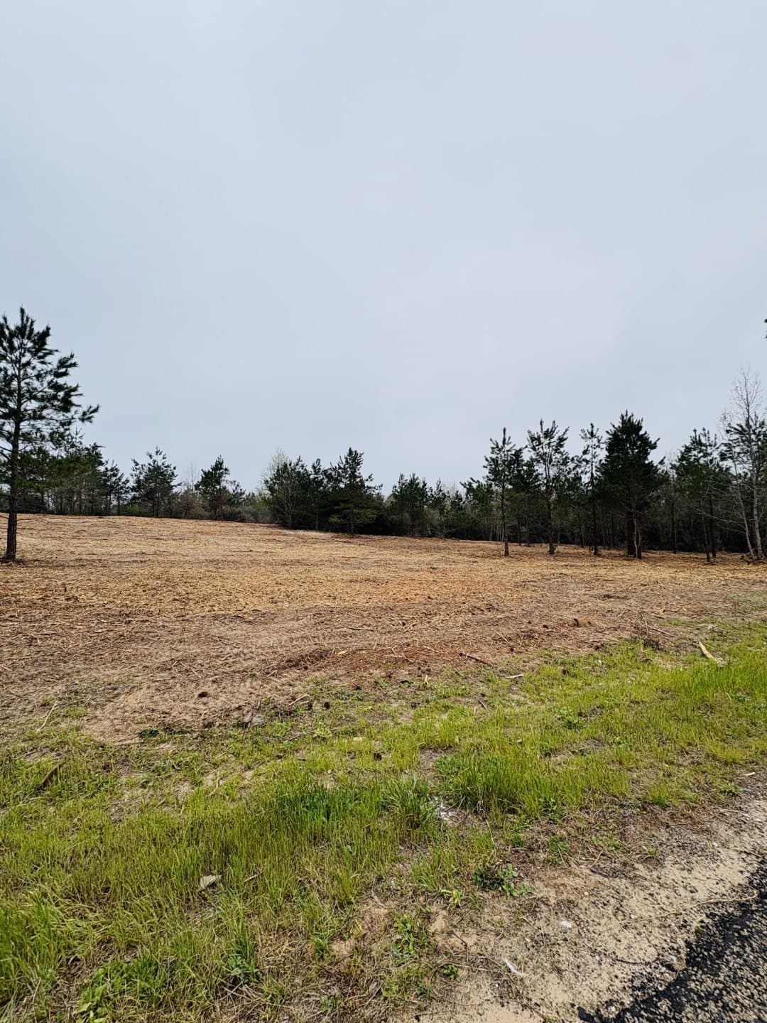 42 acres in Shelby County gallery image 4