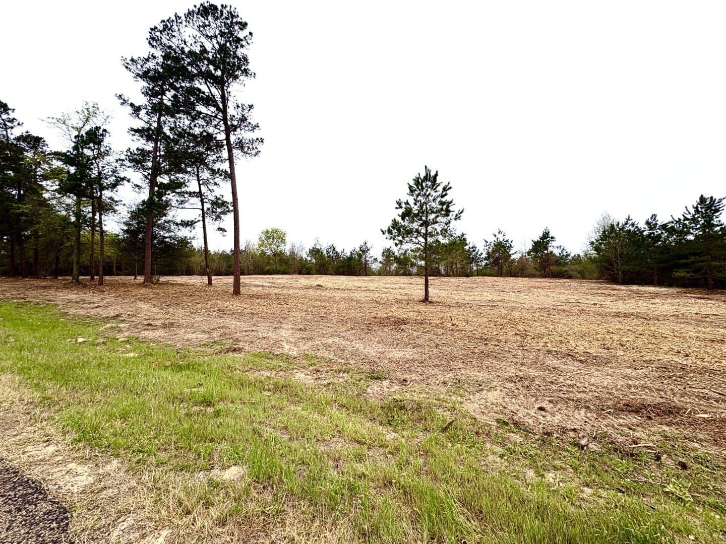 42 acres in Shelby County gallery image 3
