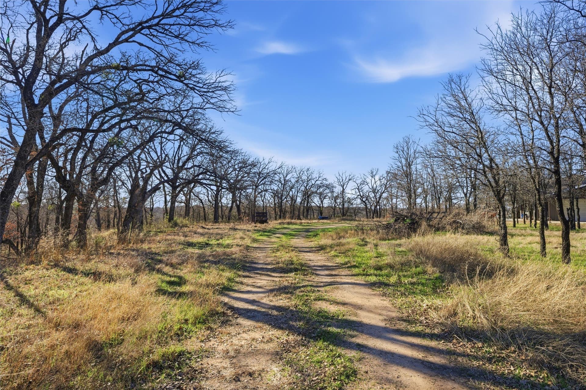 10 acres in McLennan County gallery image 3