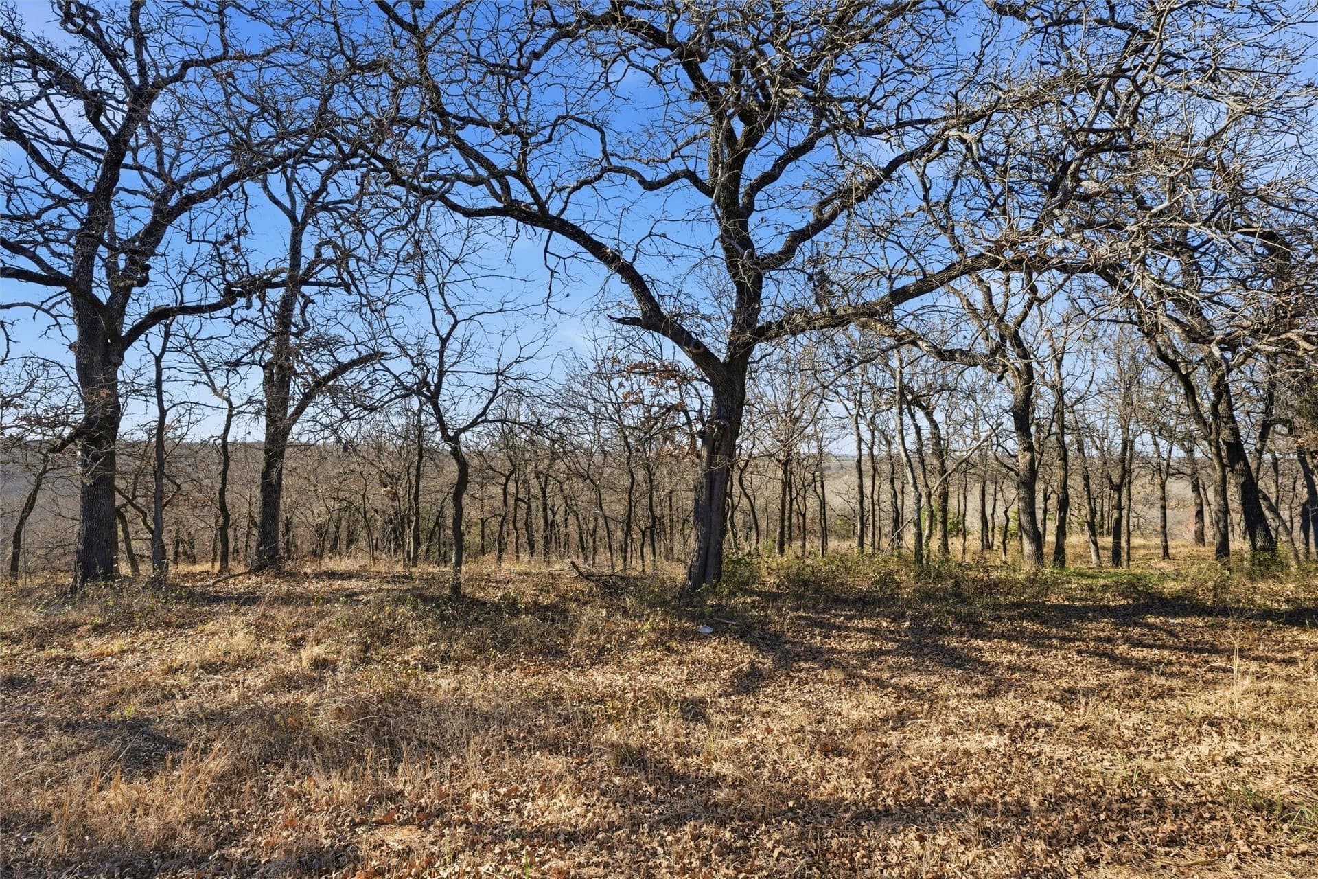 10 acres in McLennan County gallery image 2