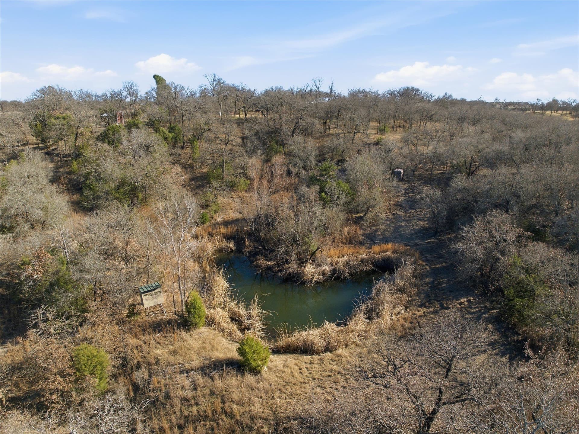 10 acres in McLennan County - photo 6