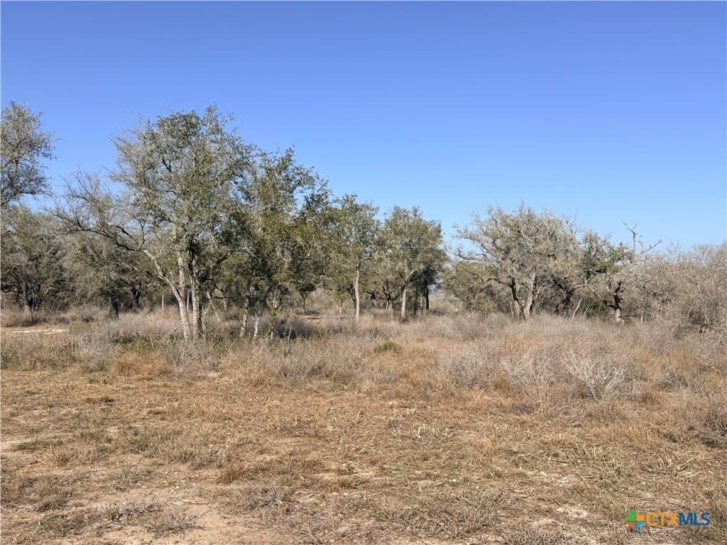 12.98 acres in Goliad County - photo 7