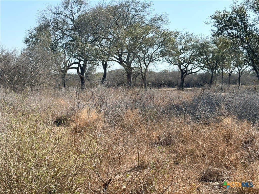 12.98 acres in Goliad County - photo 9