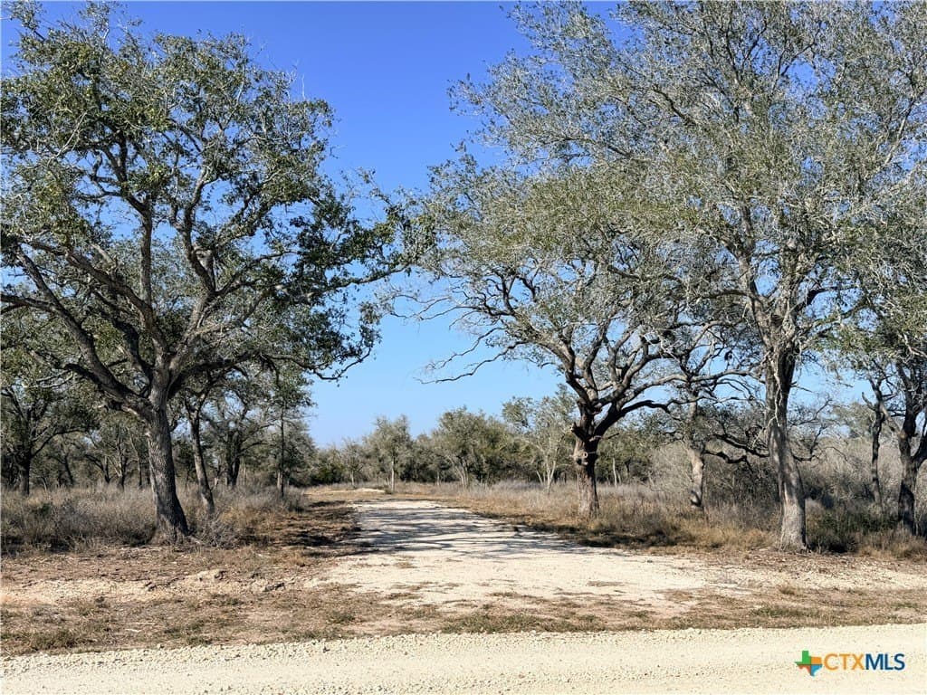 12.98 acres in Goliad County