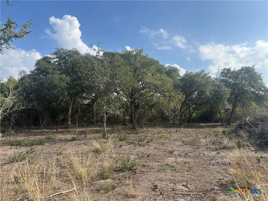12.98 acres in Goliad County - photo 4