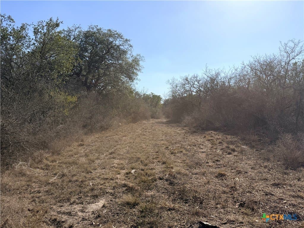 12.98 acres in Goliad County - photo 13