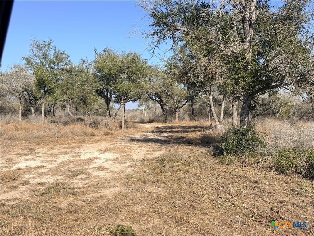 12.98 acres in Goliad County - photo 8