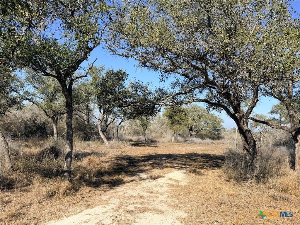 12.98 acres in Goliad County - photo 3