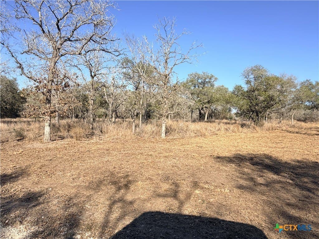 12.98 acres in Goliad County - photo 12
