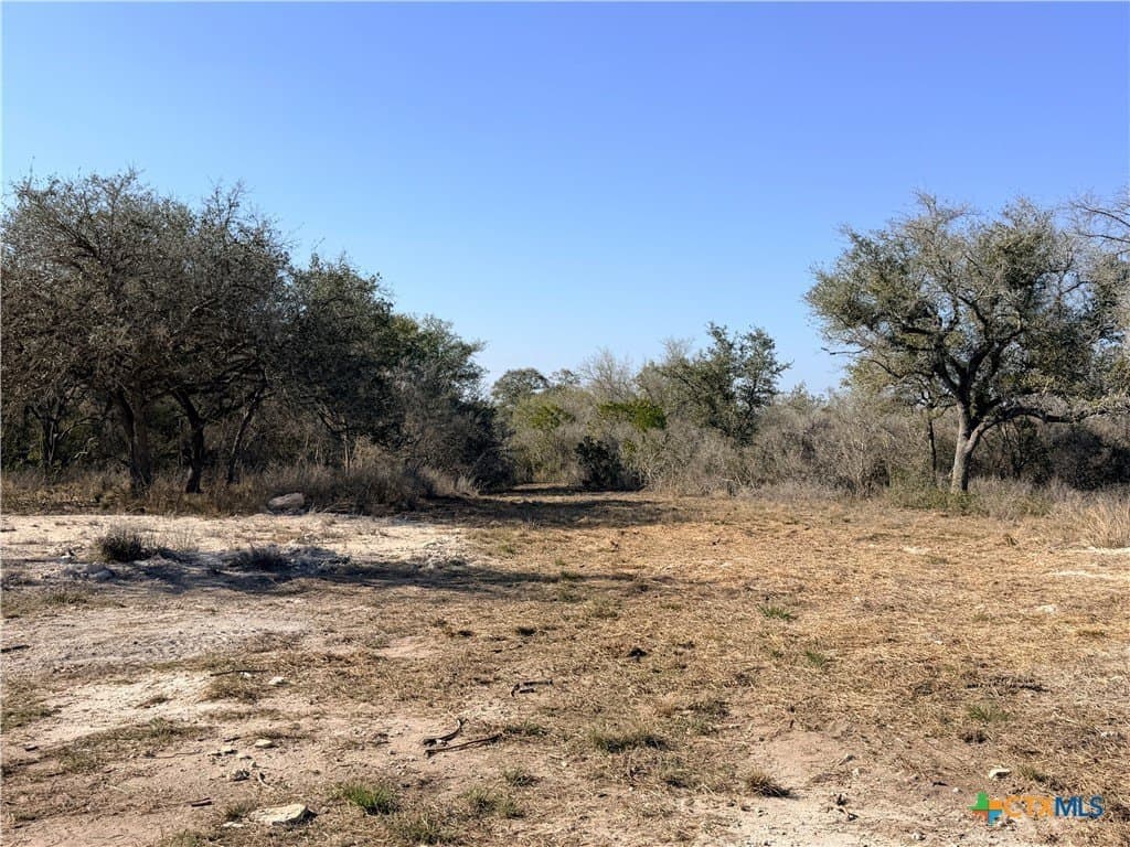 12.98 acres in Goliad County - photo 10