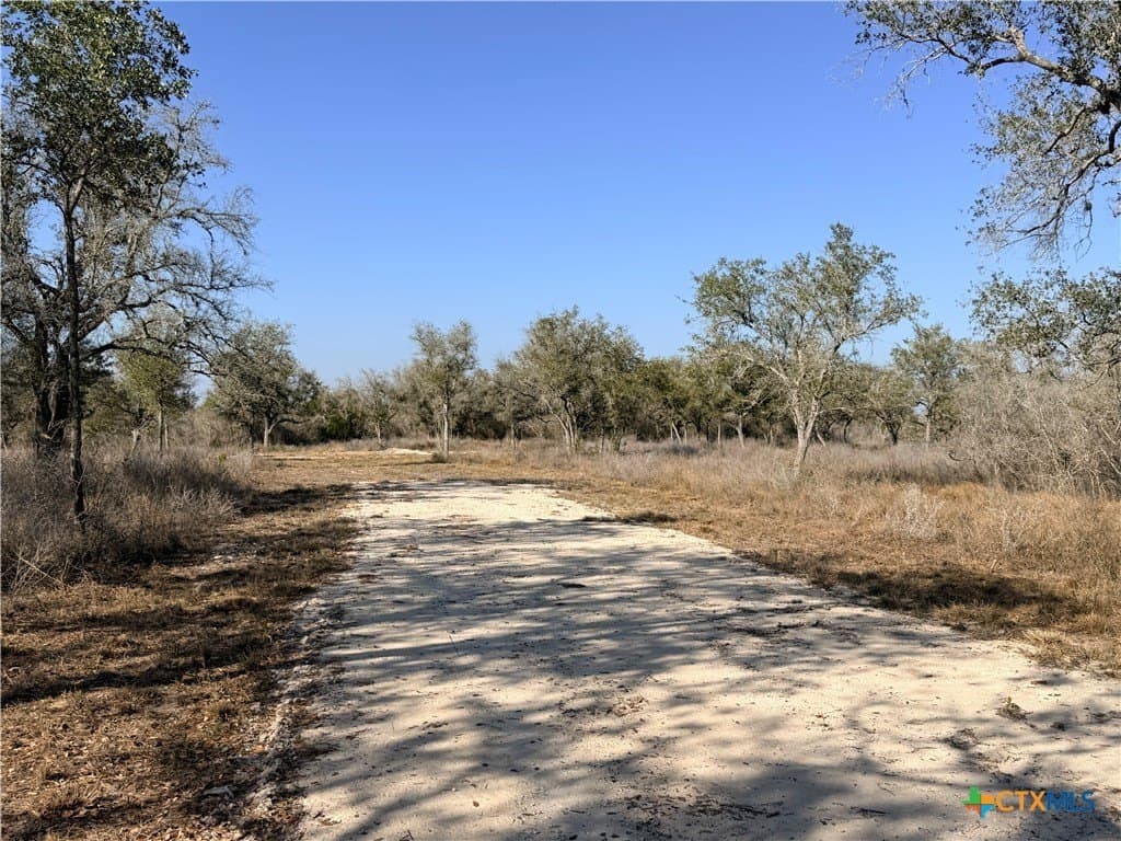 12.98 acres in Goliad County - photo 5