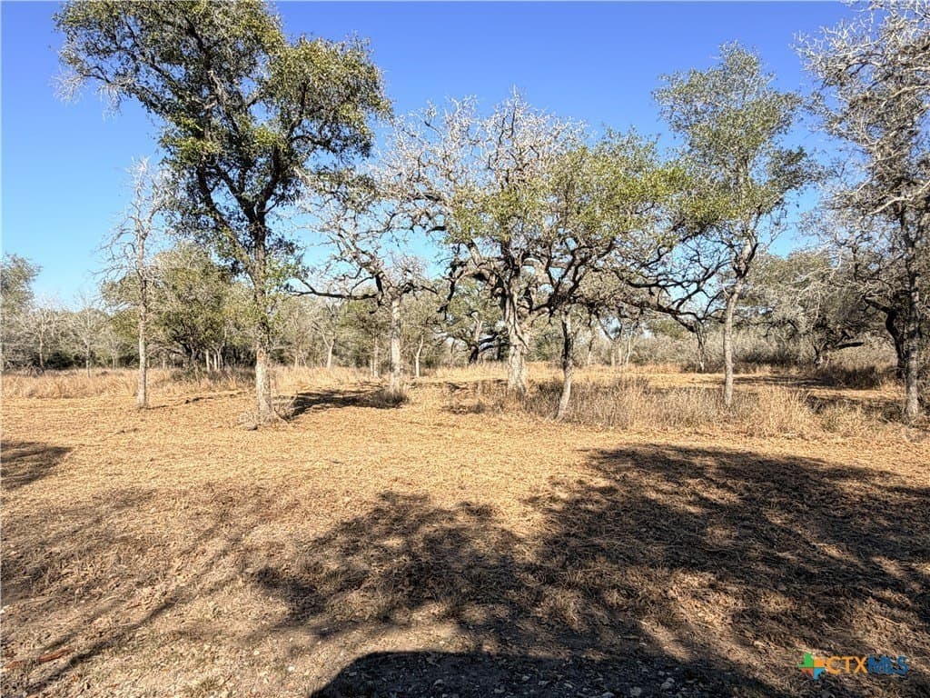 12.98 acres in Goliad County - photo 11
