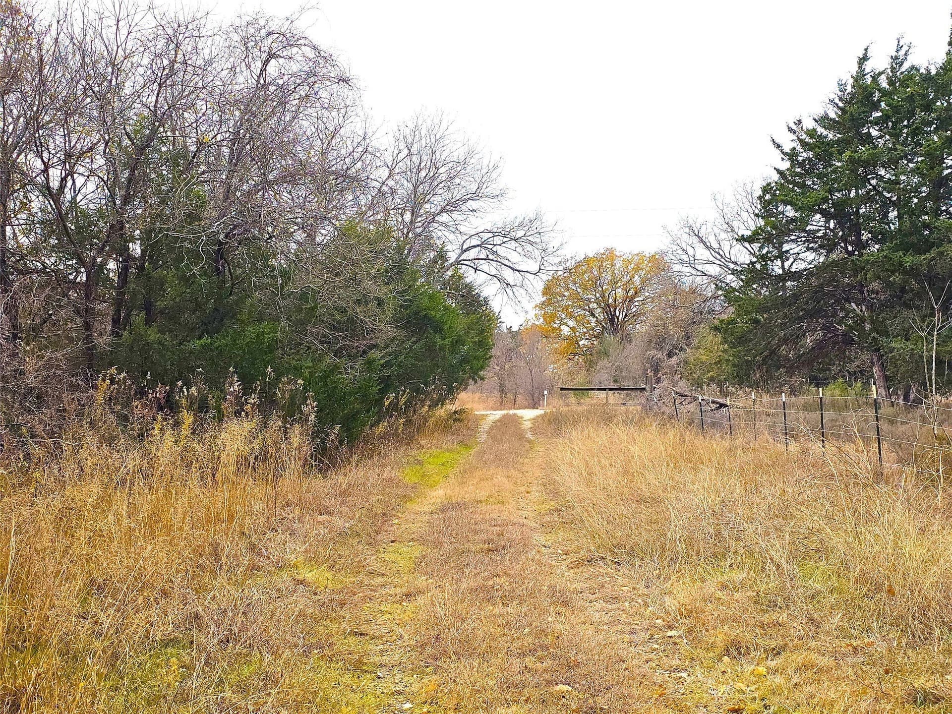 10 acres in Navarro County - photo 26