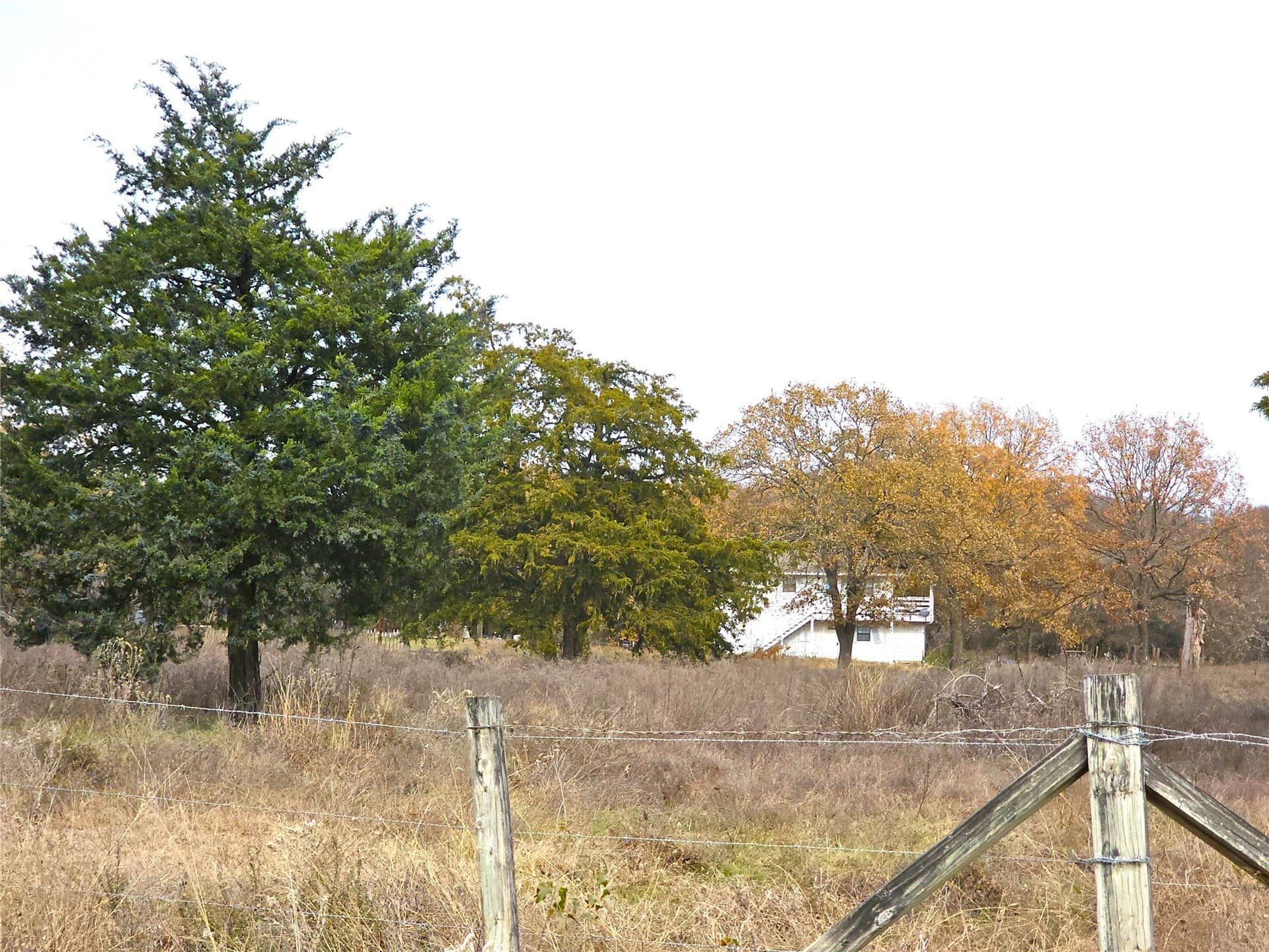 10 acres in Navarro County - photo 4