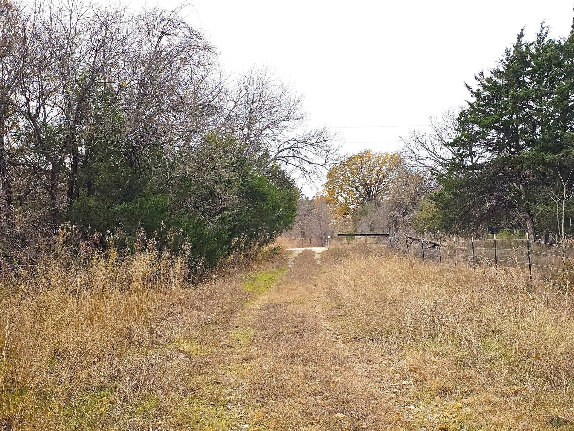10 acres in Navarro County - photo 7