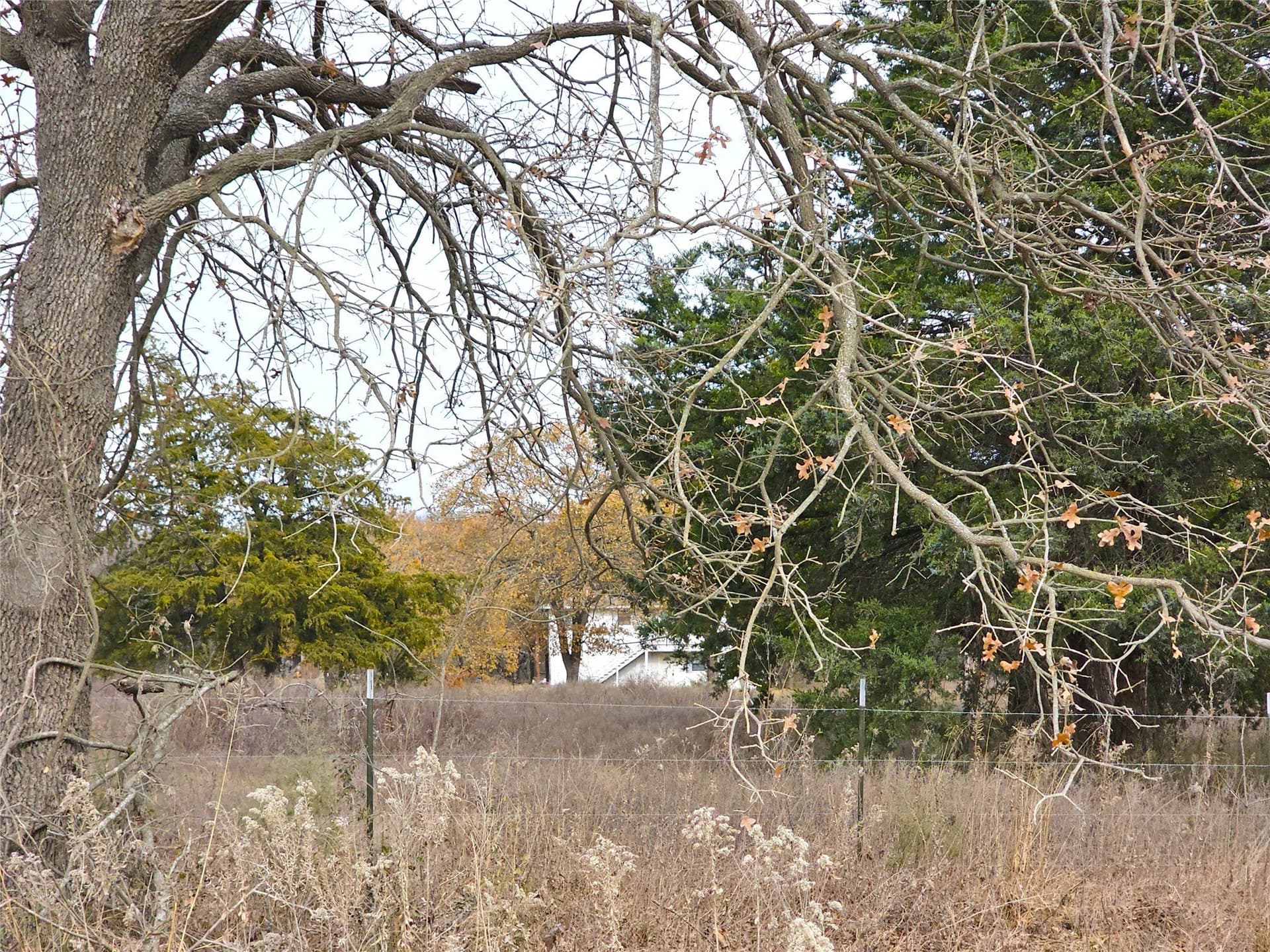 10 acres in Navarro County - photo 2