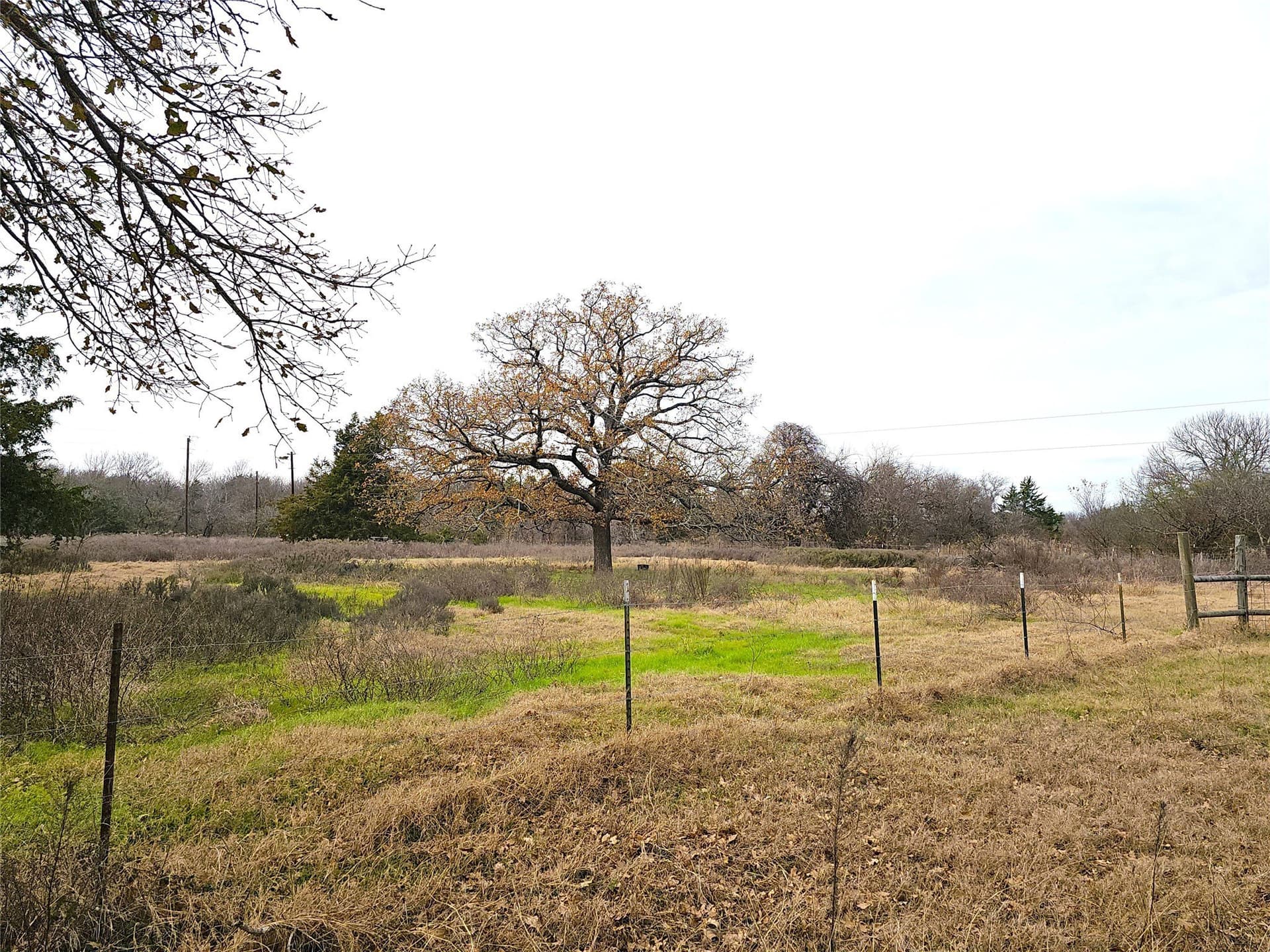 10 acres in Navarro County - photo 8
