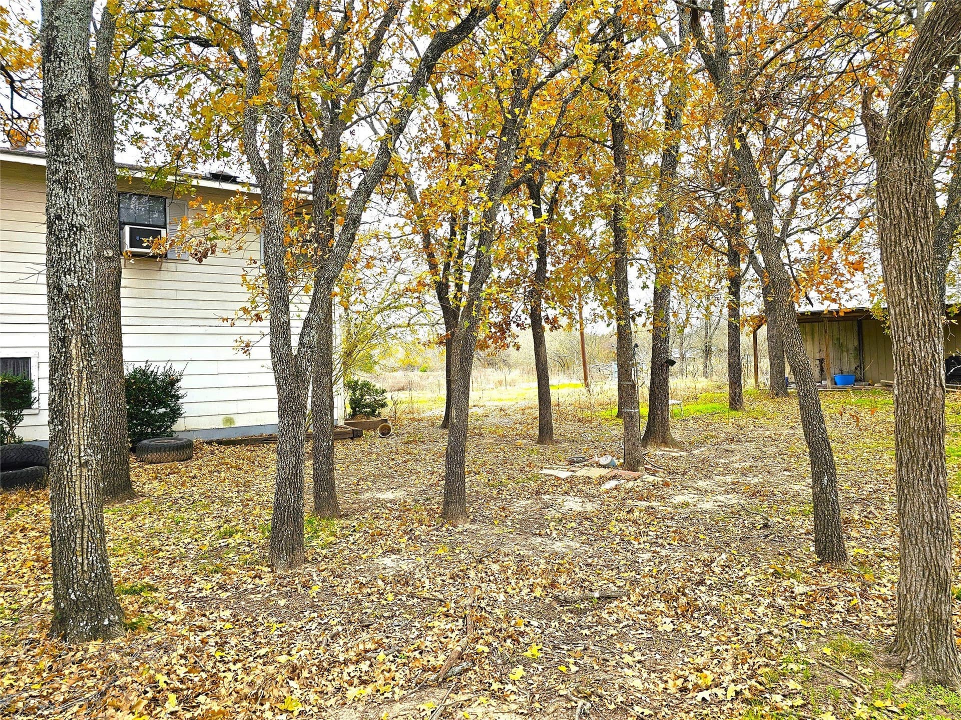 10 acres in Navarro County - photo 28