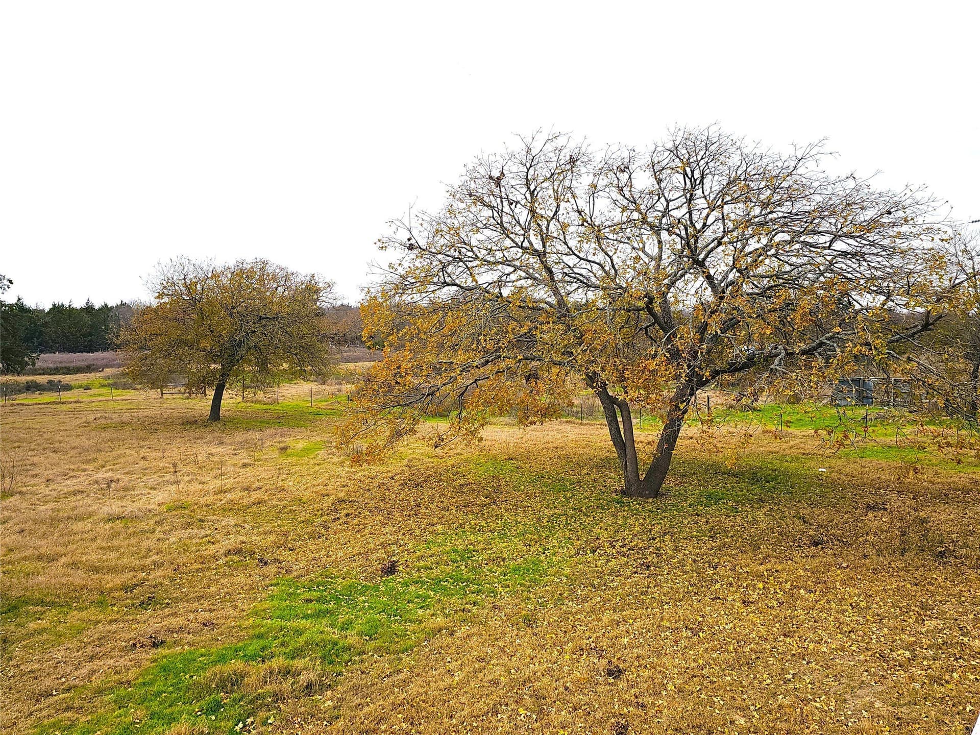10 acres in Navarro County - photo 10