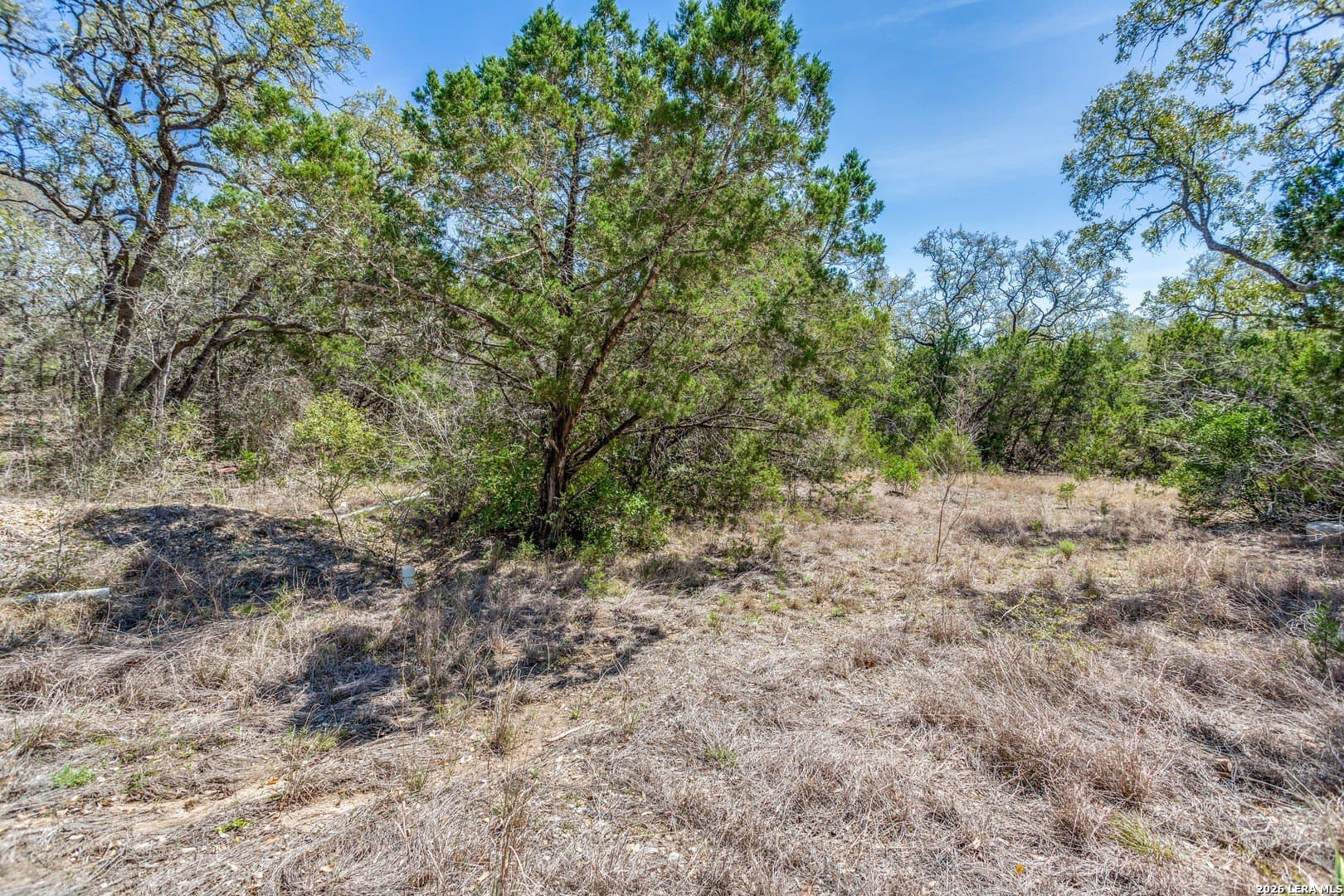 15.17 acres in Bexar County - photo 8